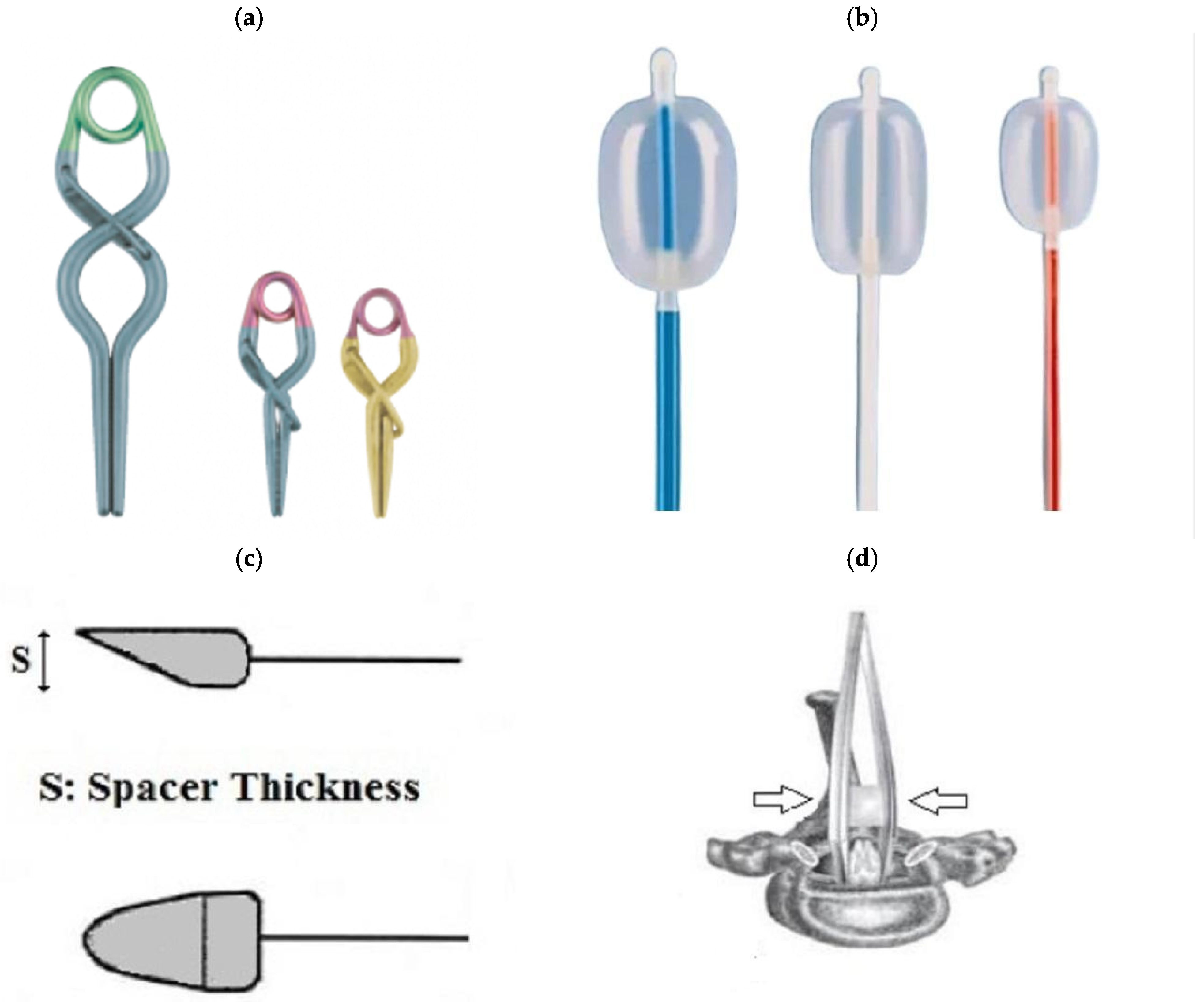 Biomedicines 13 01427 g004
