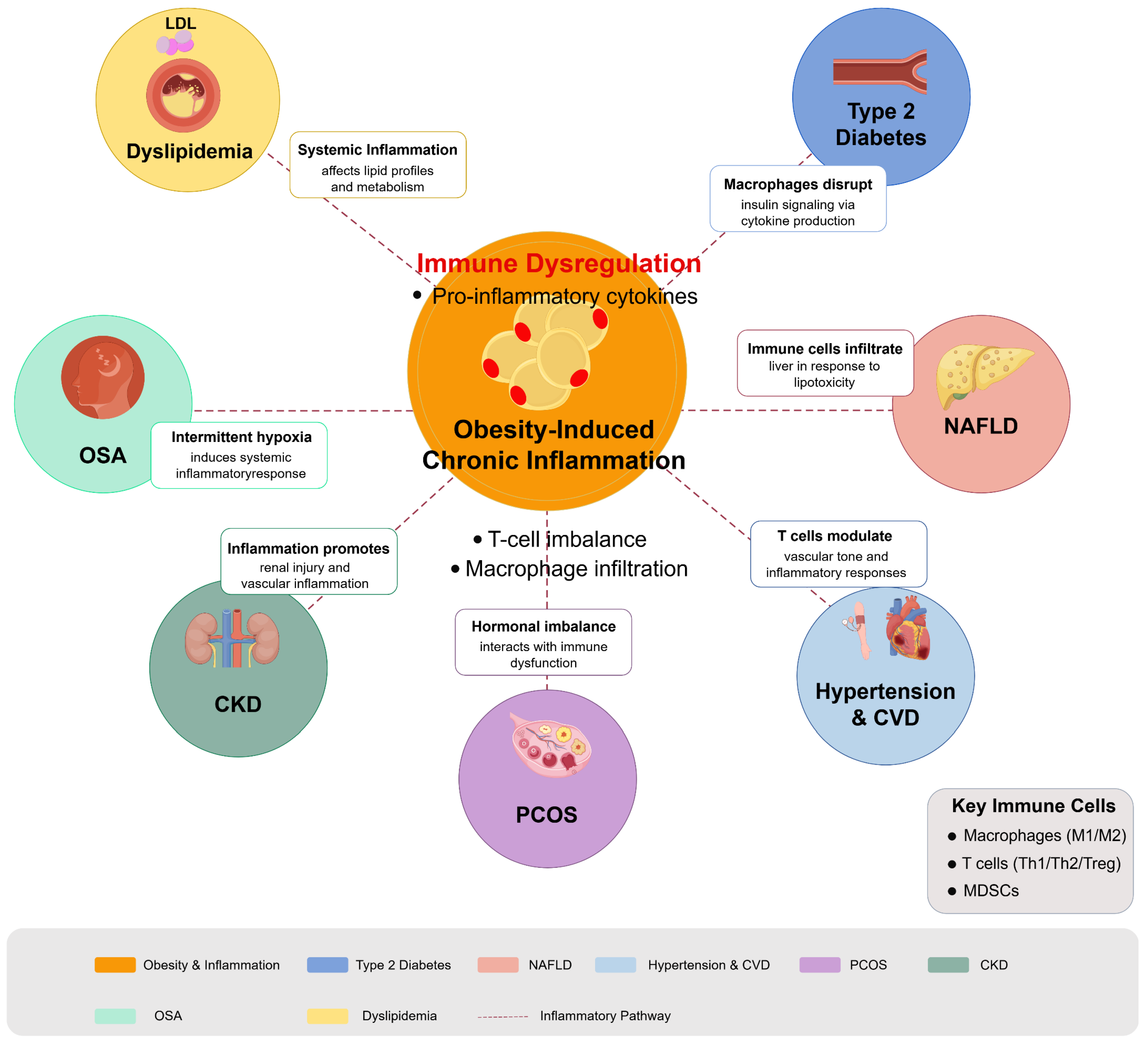 Biomedicines 13 01429 g003