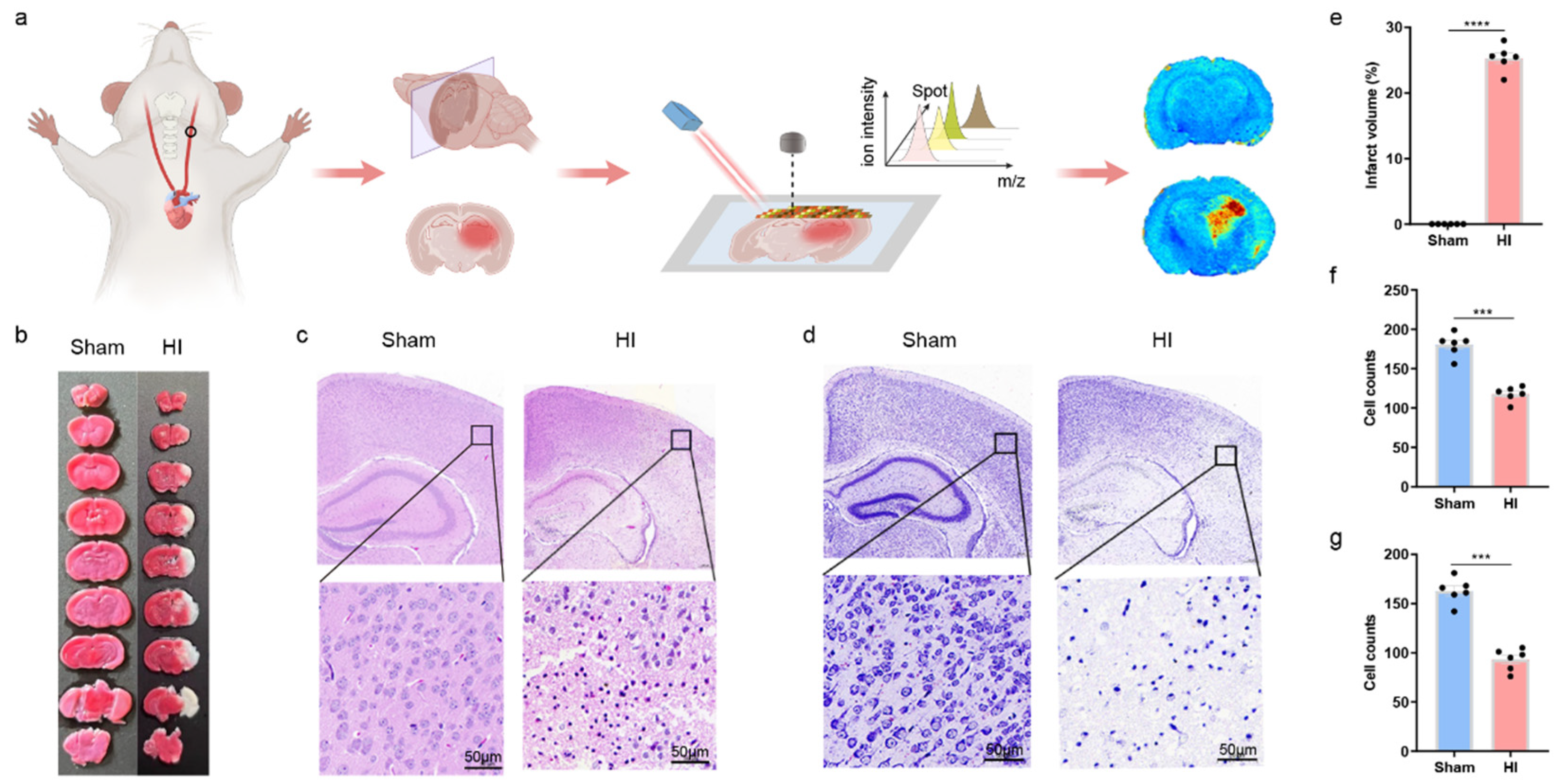 Biomedicines 13 01431 g001