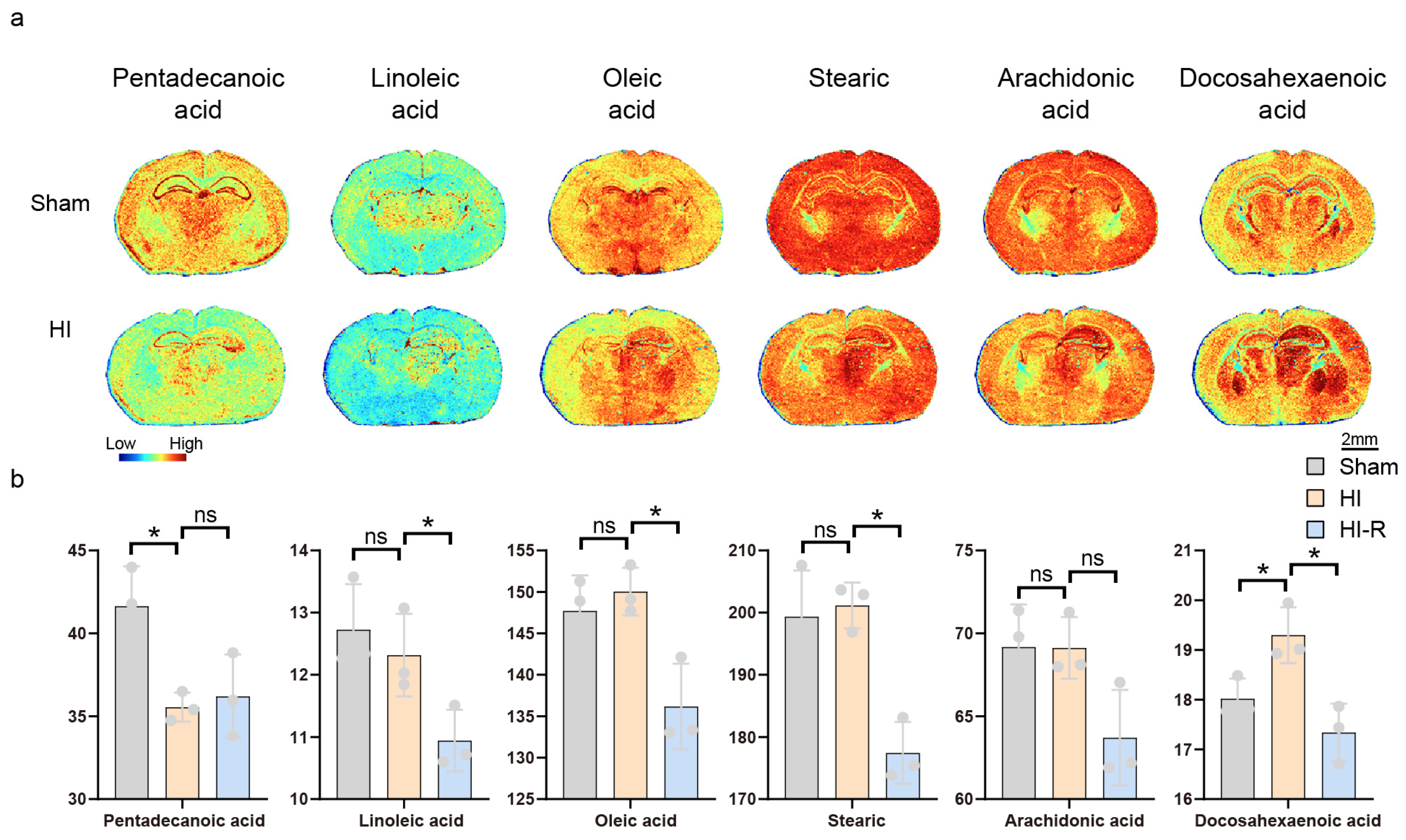 Biomedicines 13 01431 g004