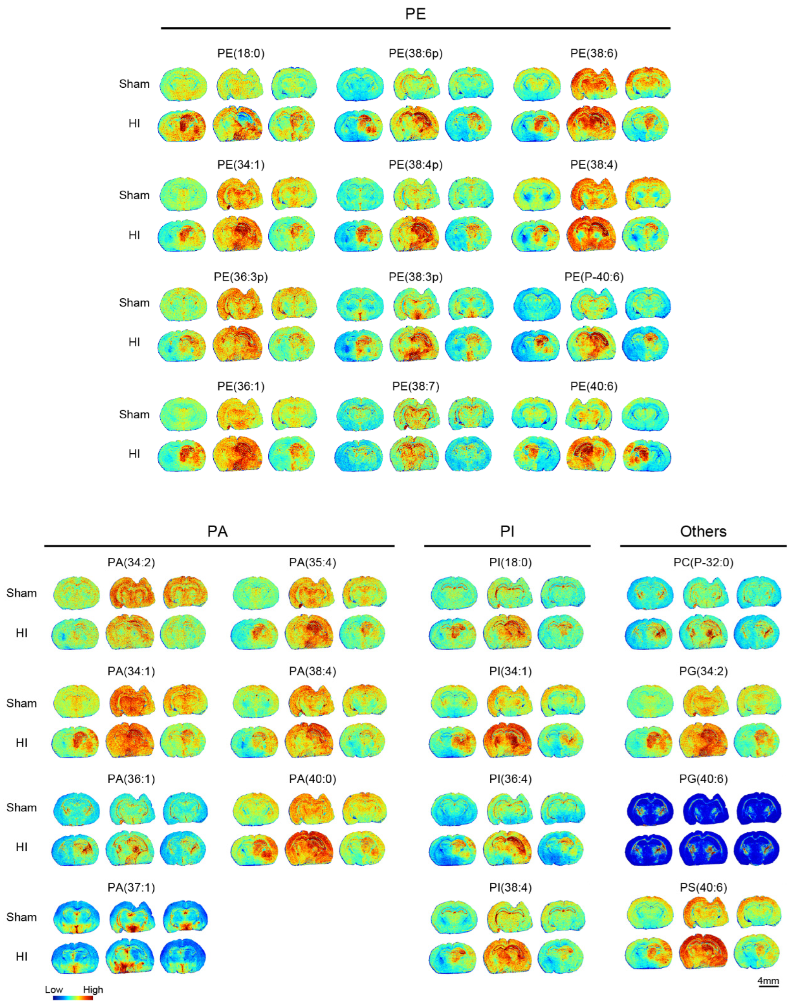 Biomedicines 13 01431 g005