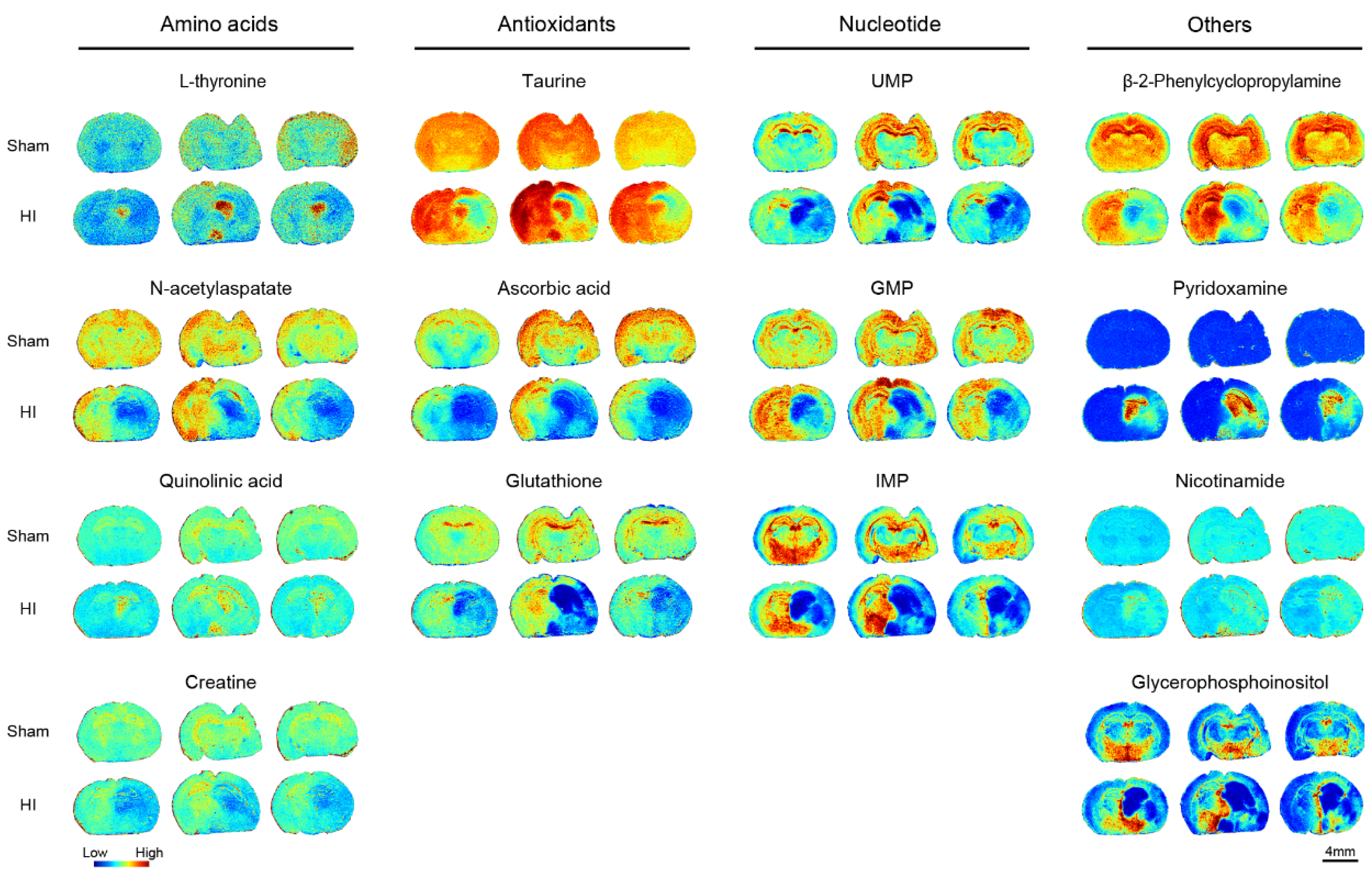 Biomedicines 13 01431 g006