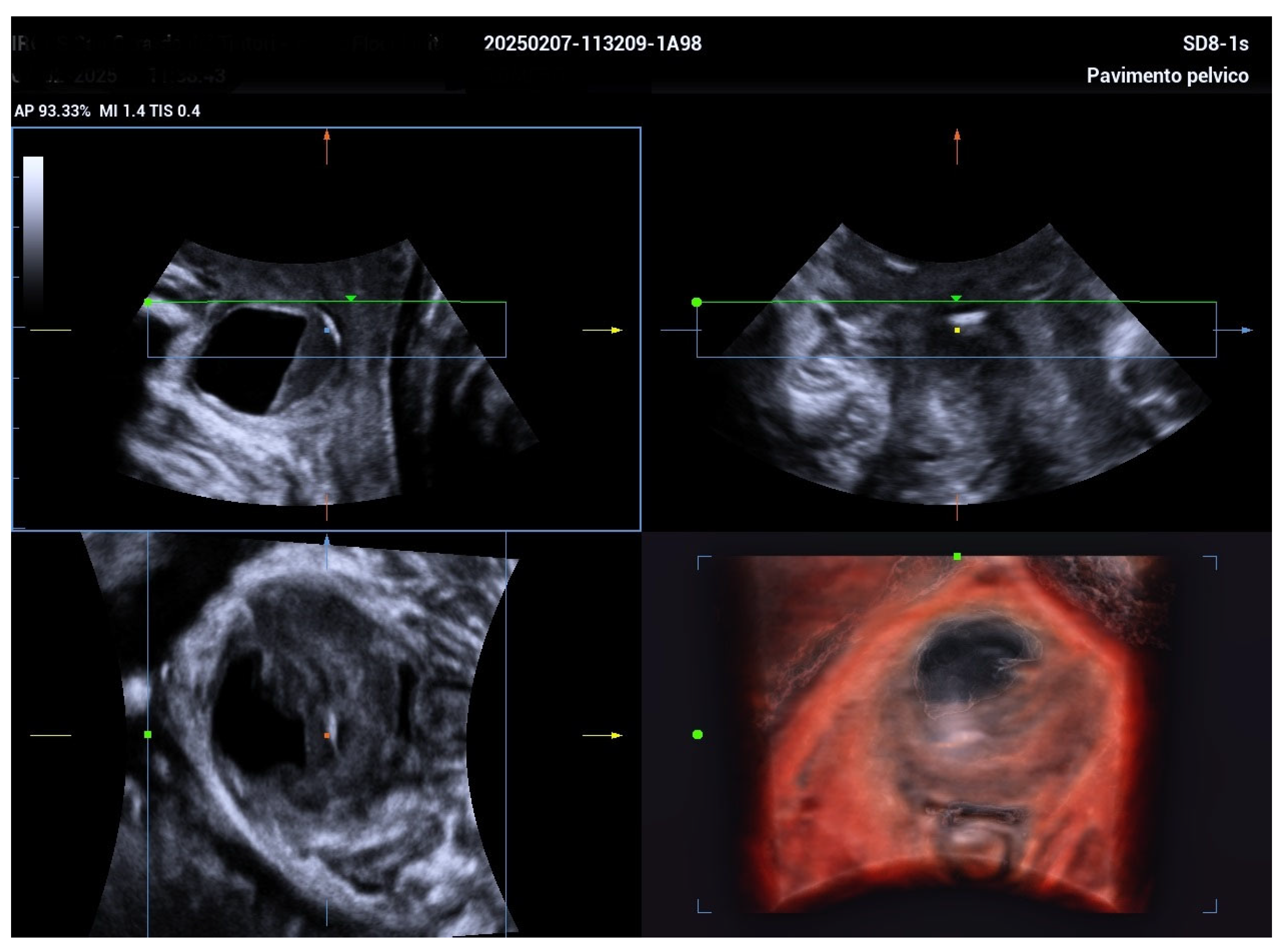Biomedicines 13 01432 g002 Biomedicines 13 01432 g002