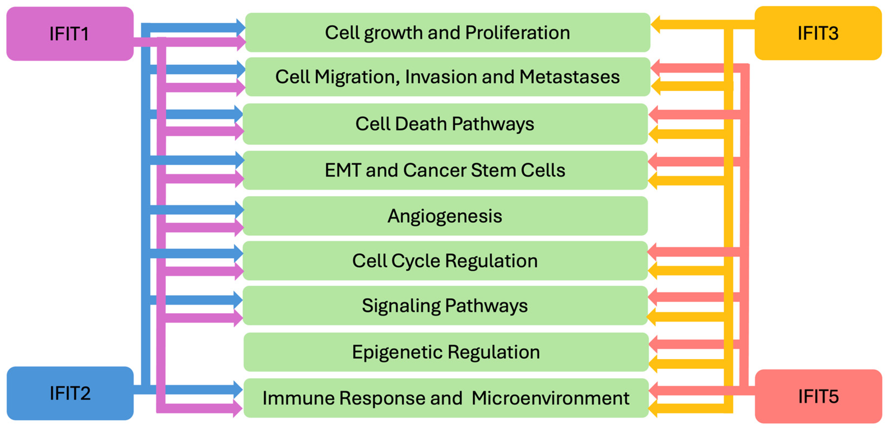 Biomedicines 13 01435 g002