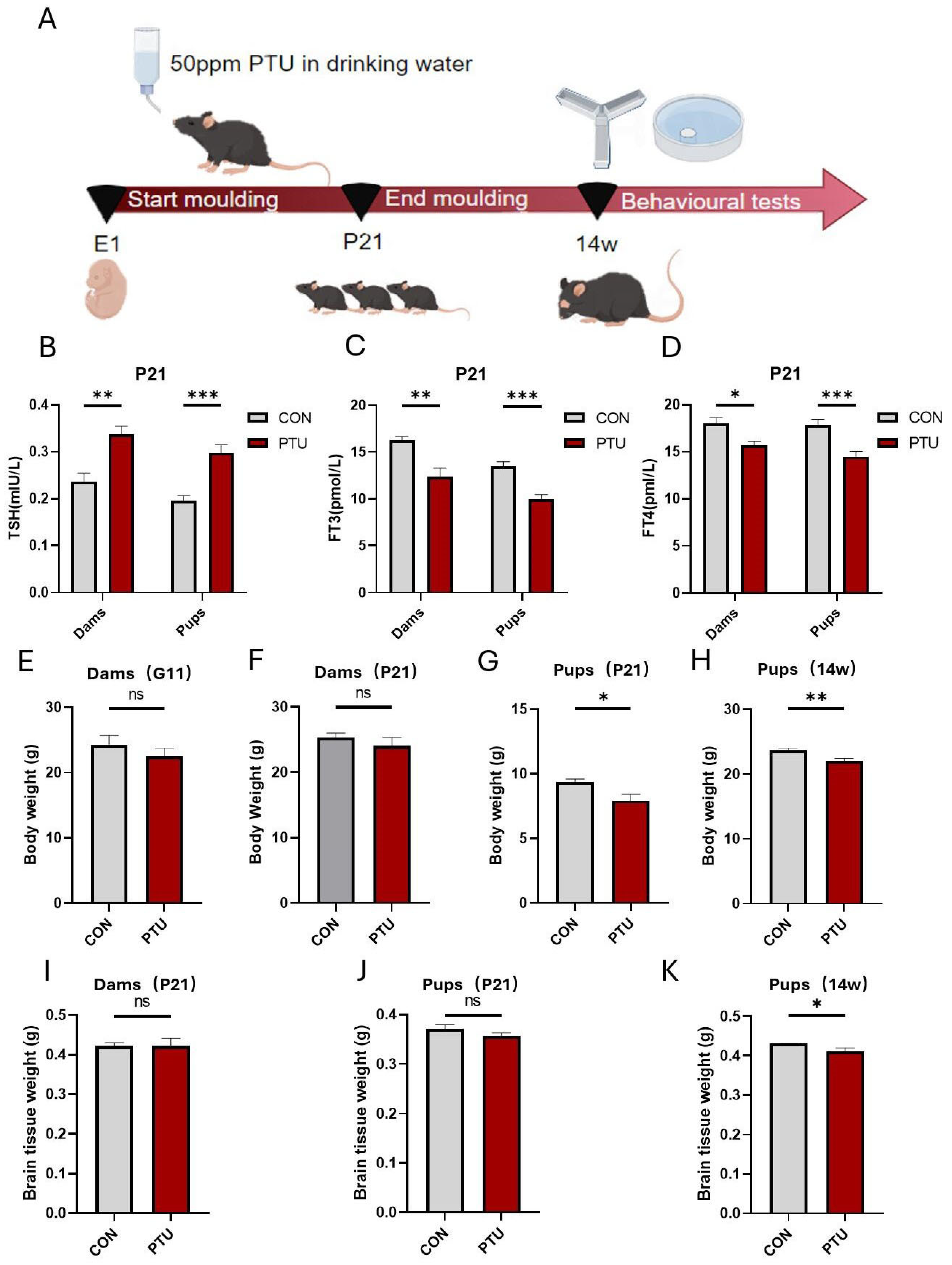Biomedicines 13 01436 g001
