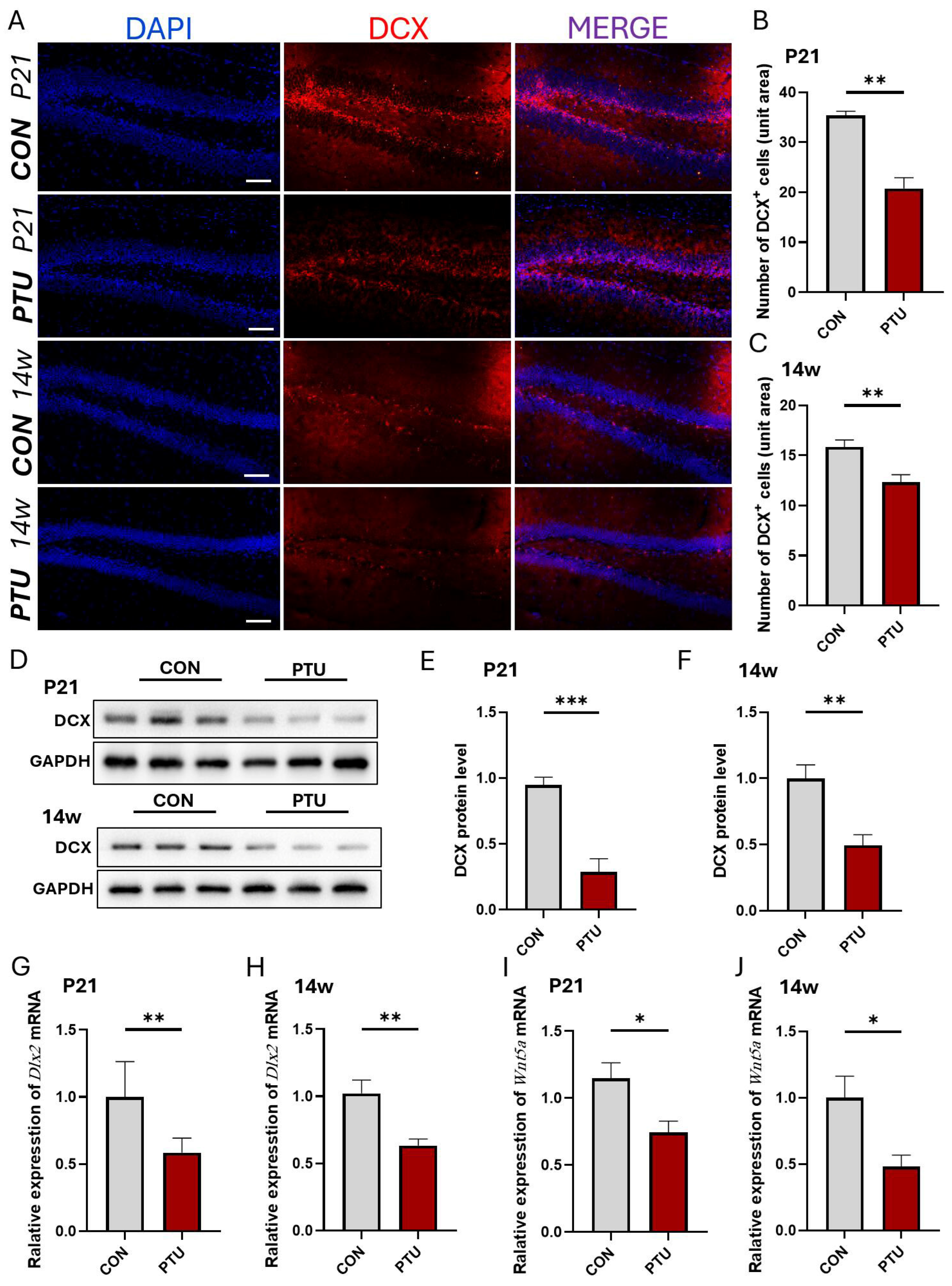Biomedicines 13 01436 g003