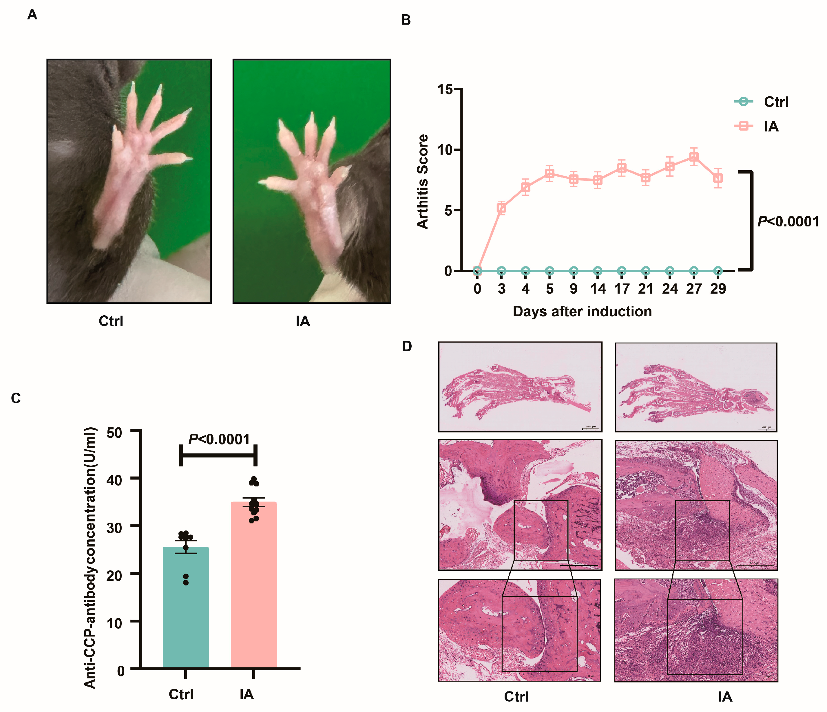 Biomedicines 13 01440 g001 Biomedicines 13 01440 g001