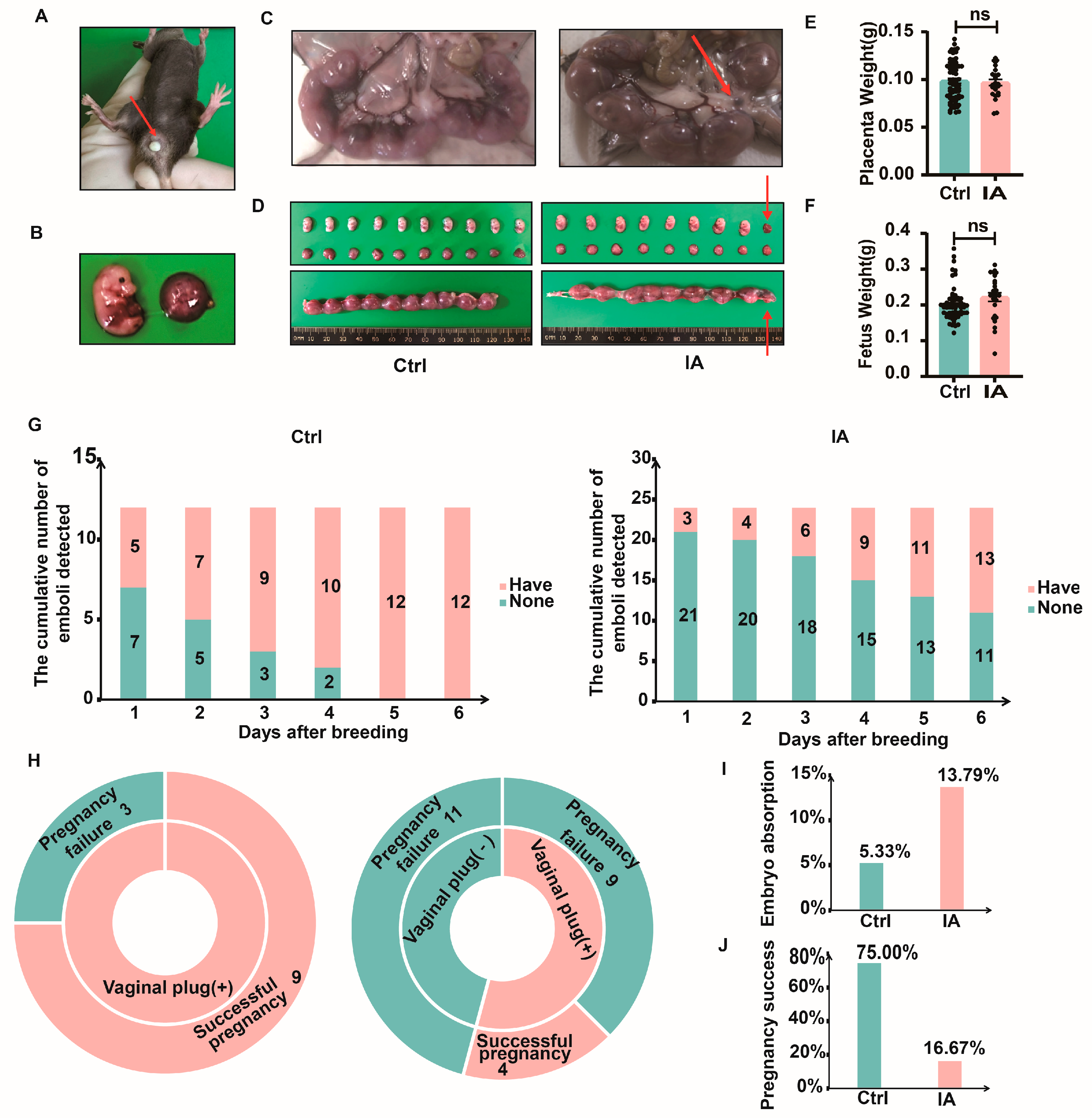 Biomedicines 13 01440 g002 Biomedicines 13 01440 g002