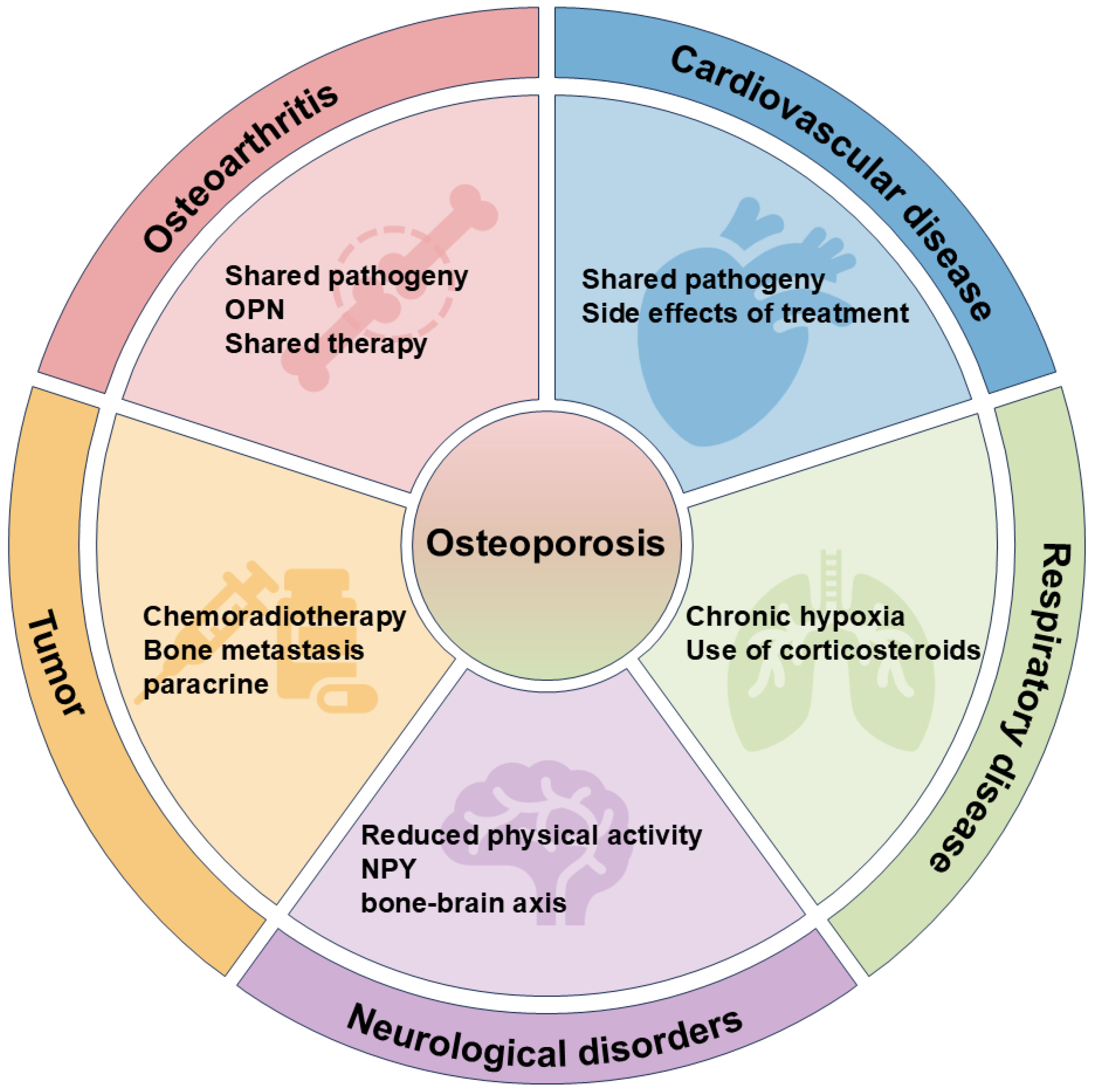 Biomedicines 13 01443 g005