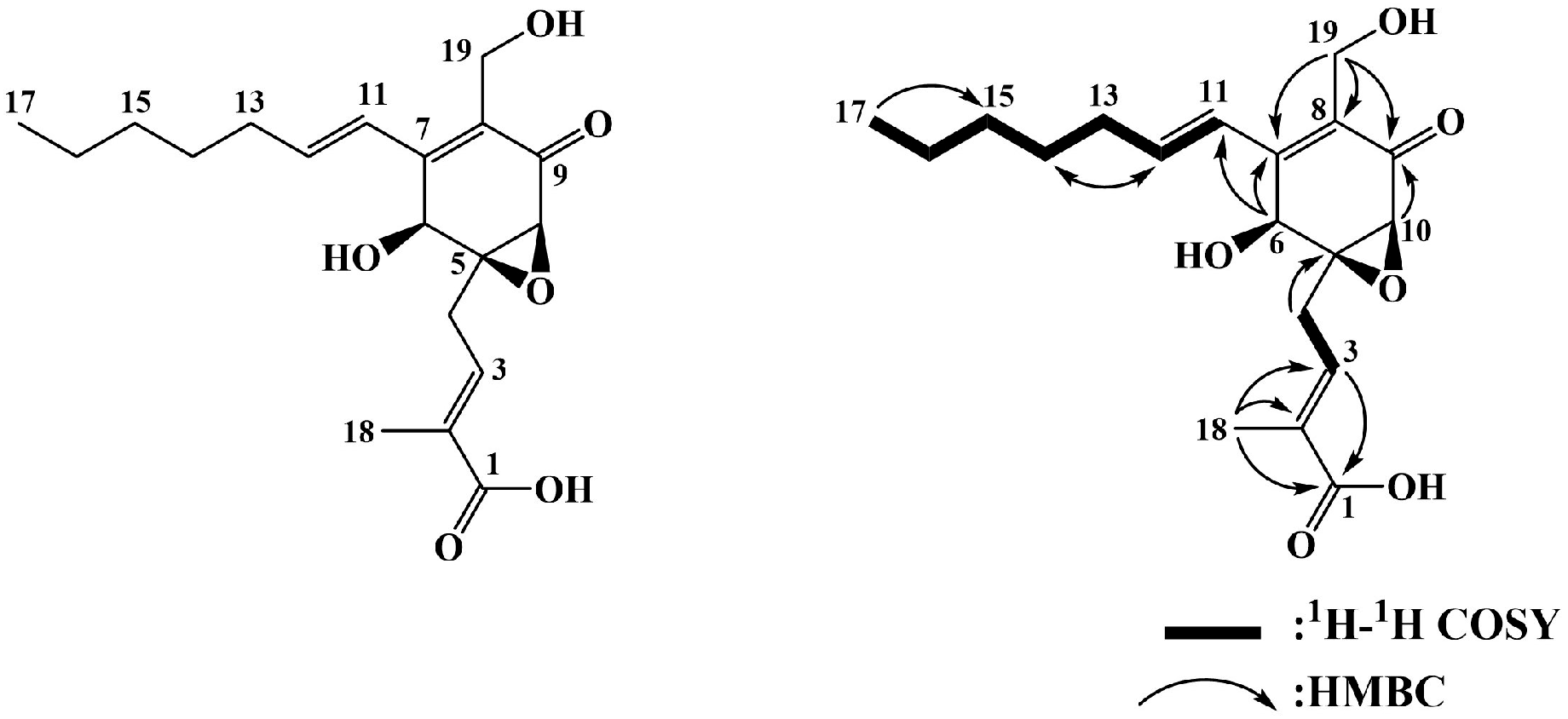 Biomedicines 13 01445 g001