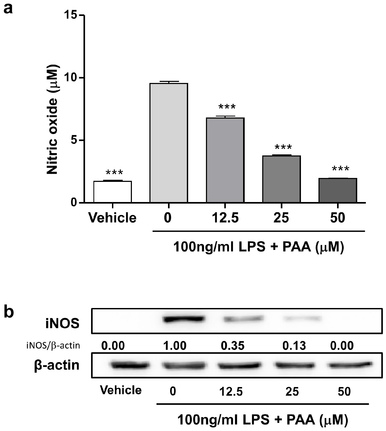 Biomedicines 13 01445 g003