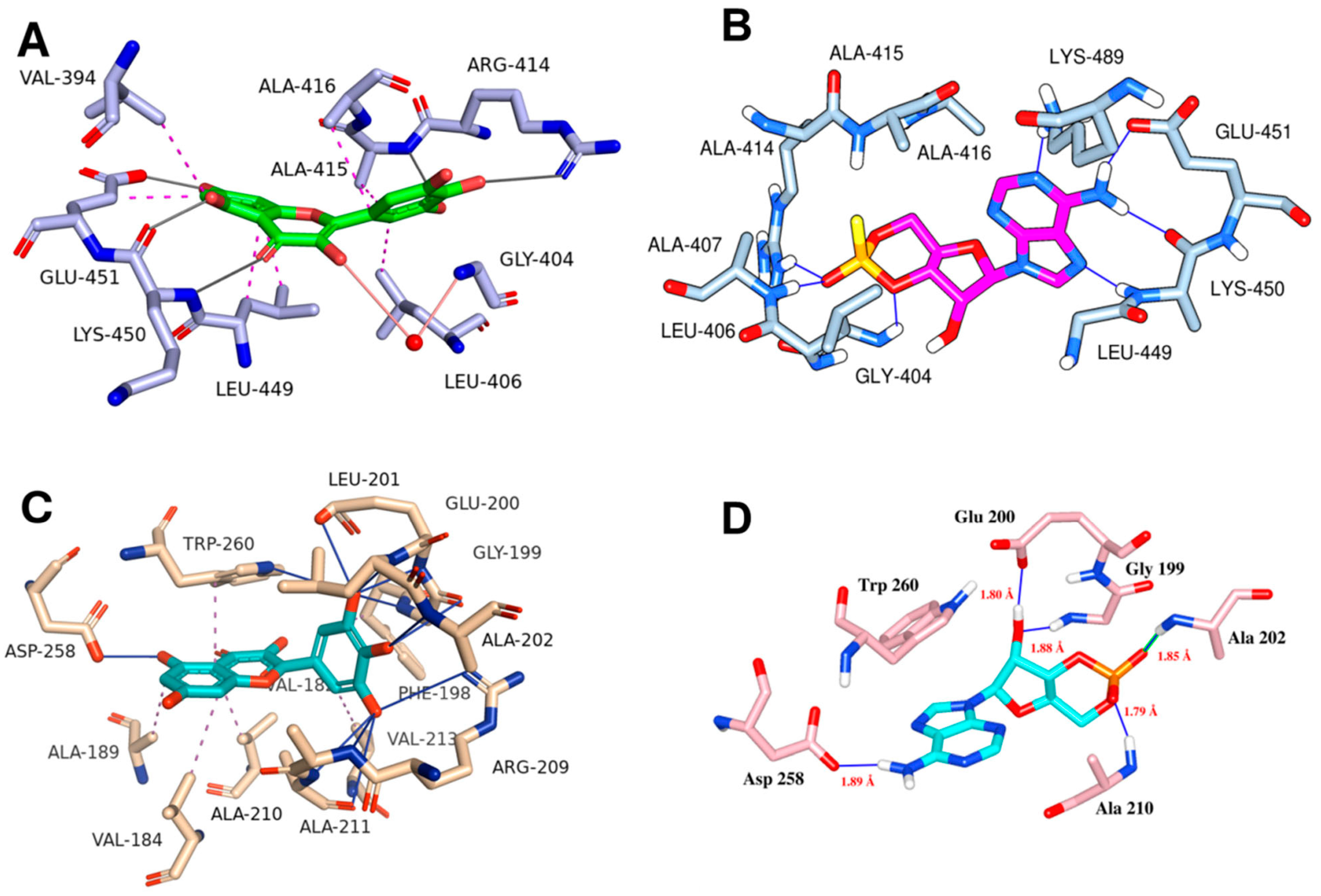 Biomedicines 13 01447 g007 Biomedicines 13 01447 g007