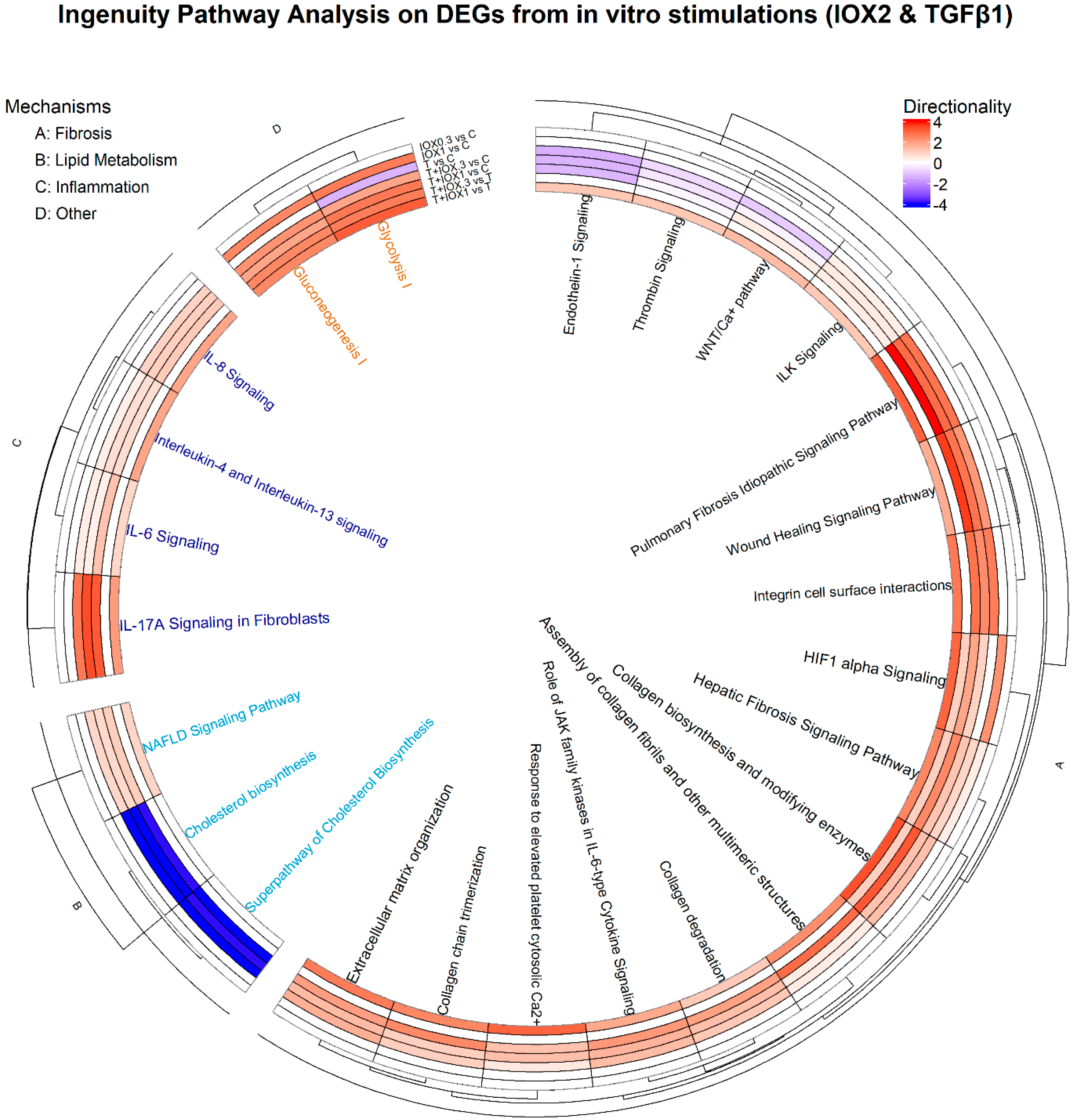 Biomedicines 13 01448 g003
