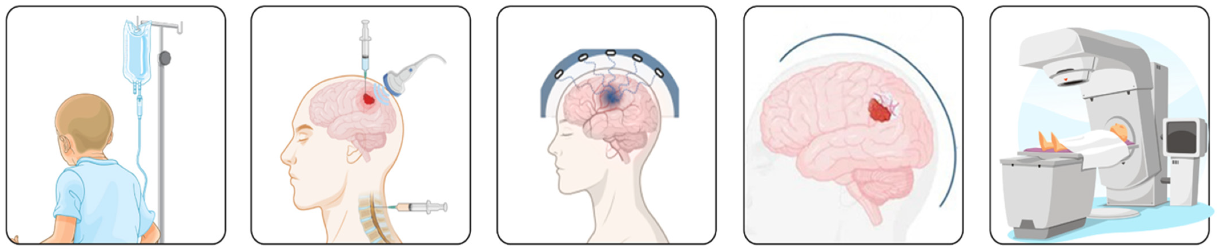 Biomedicines 13 01452 g002