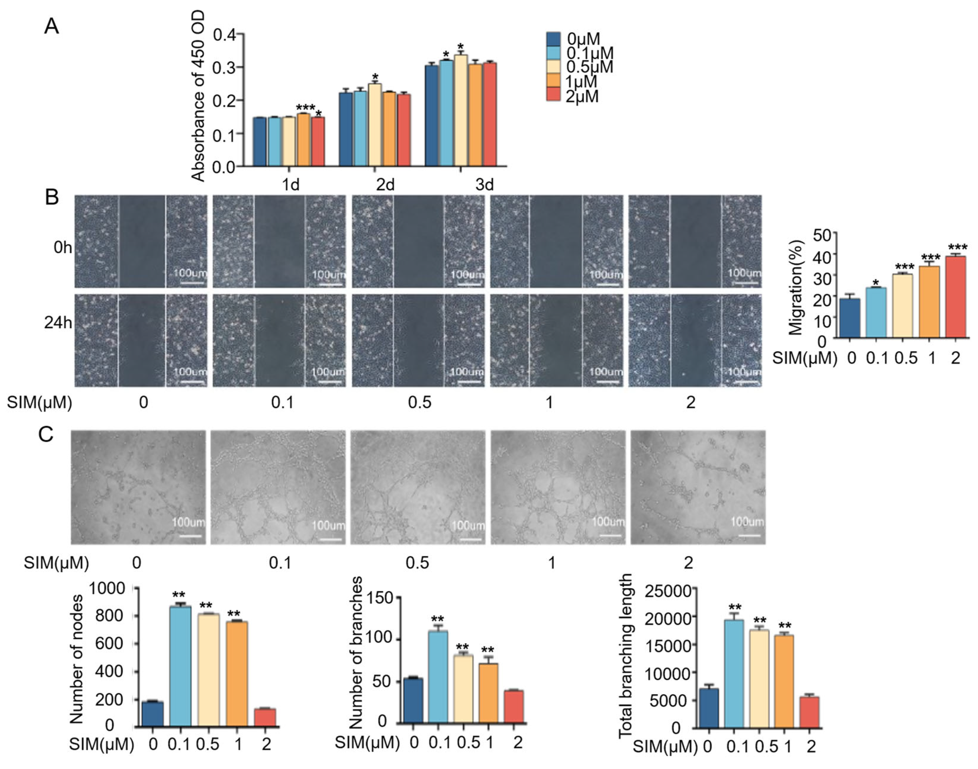 Biomedicines 13 01454 g002
