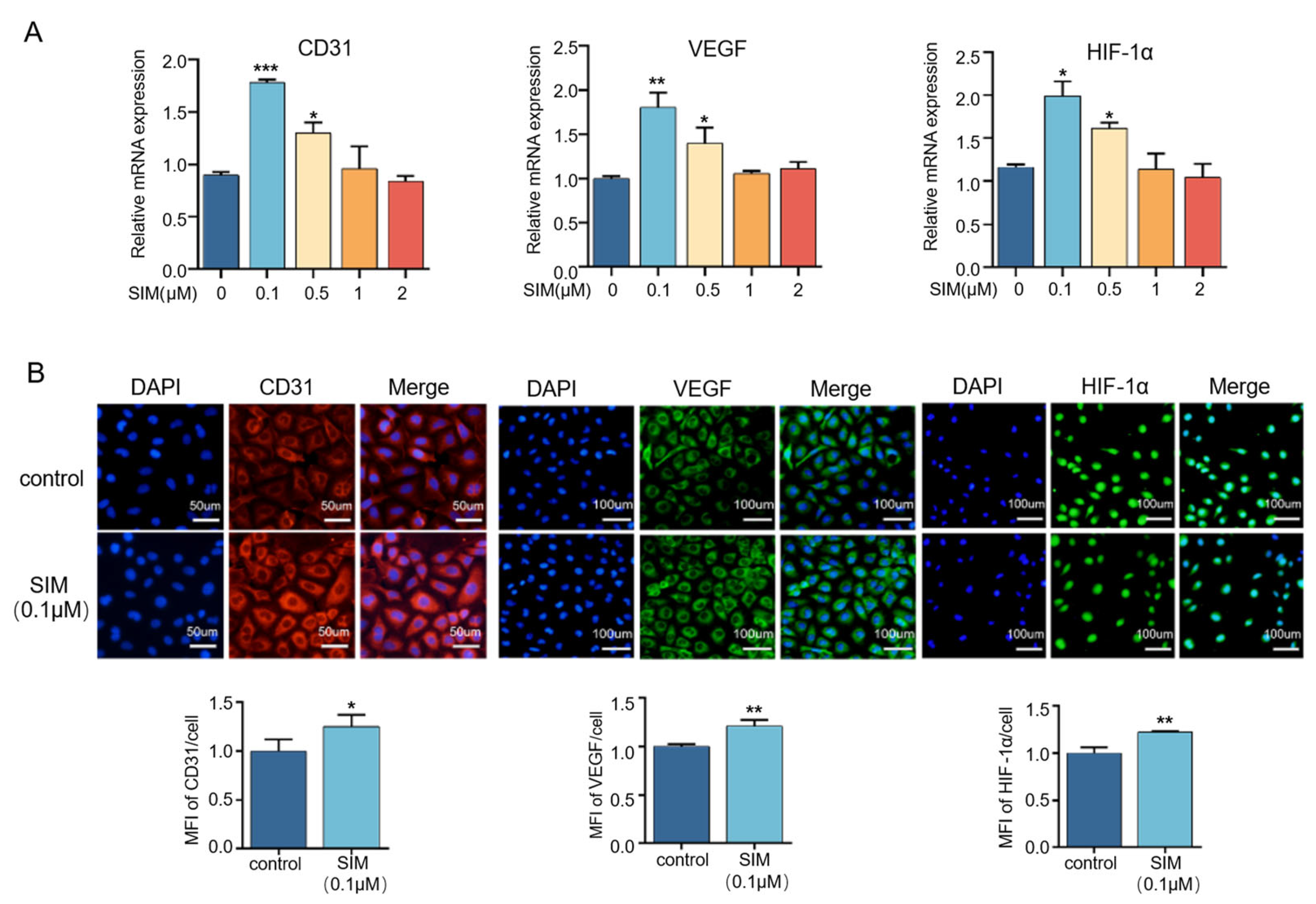Biomedicines 13 01454 g003