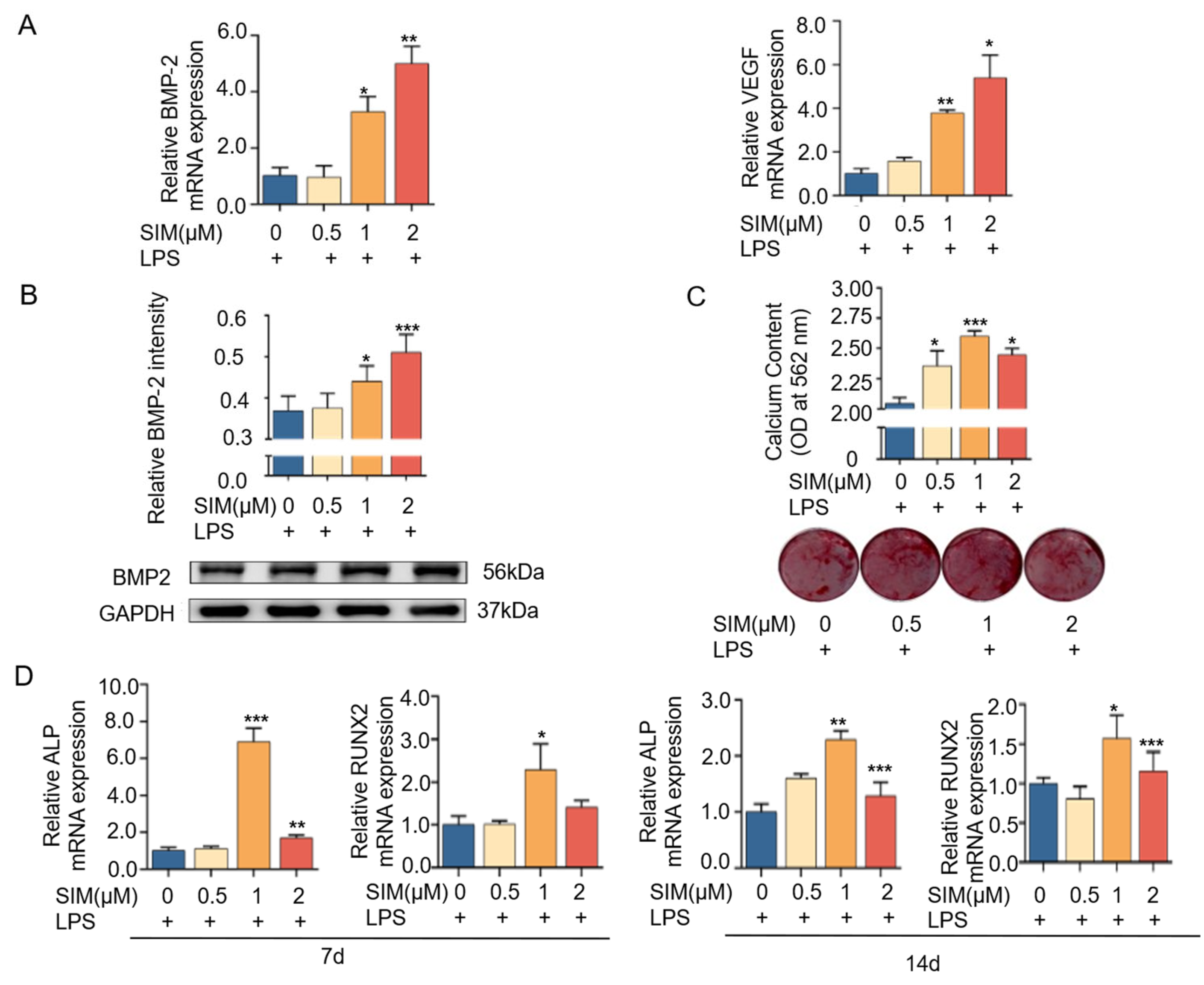 Biomedicines 13 01454 g005