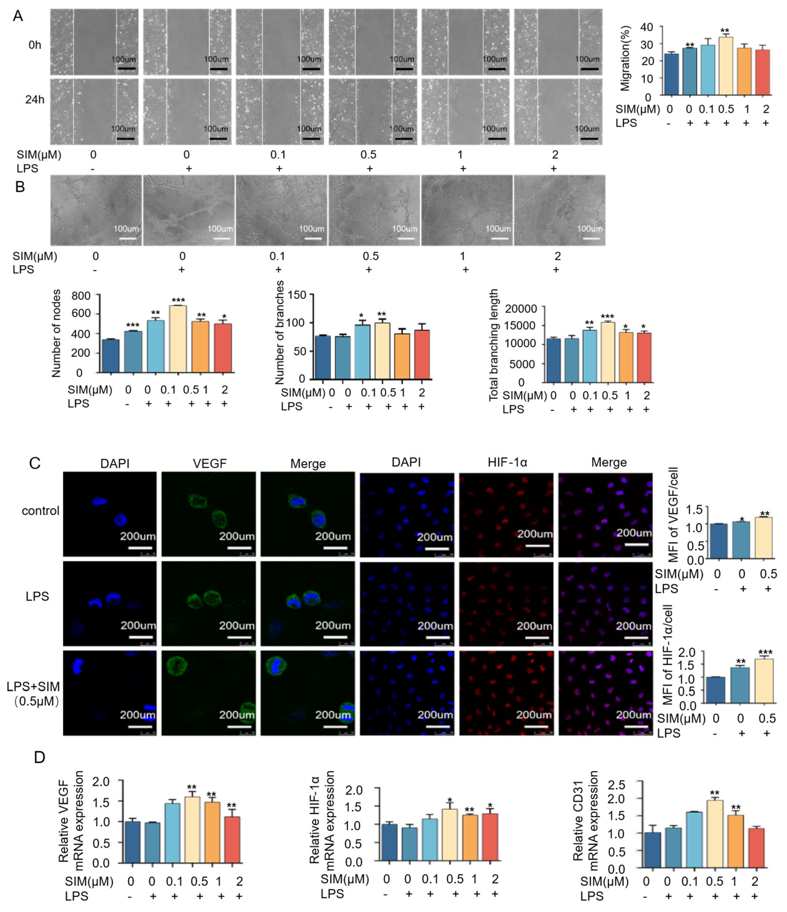 Biomedicines 13 01454 g006