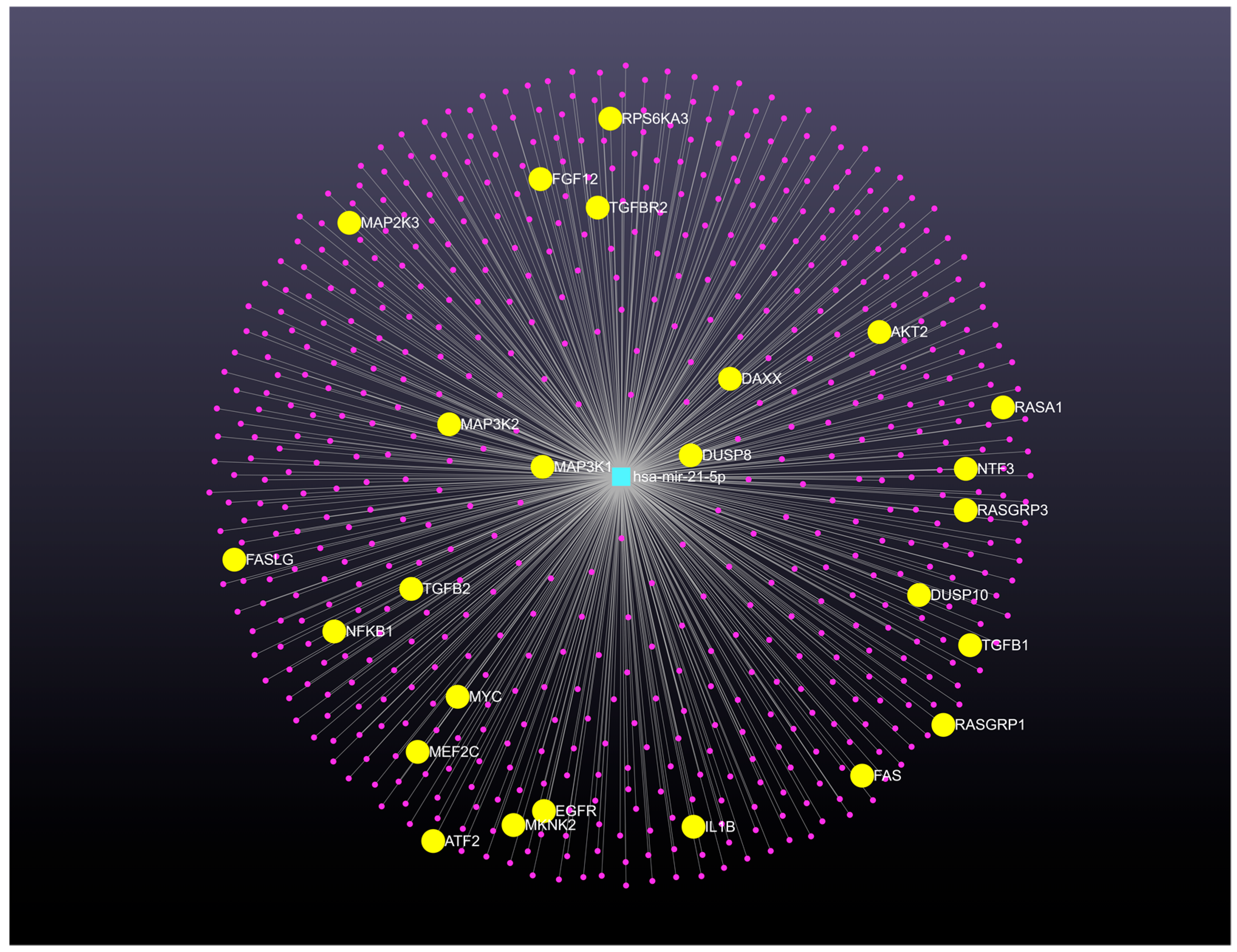 Biomedicines 13 01457 g002