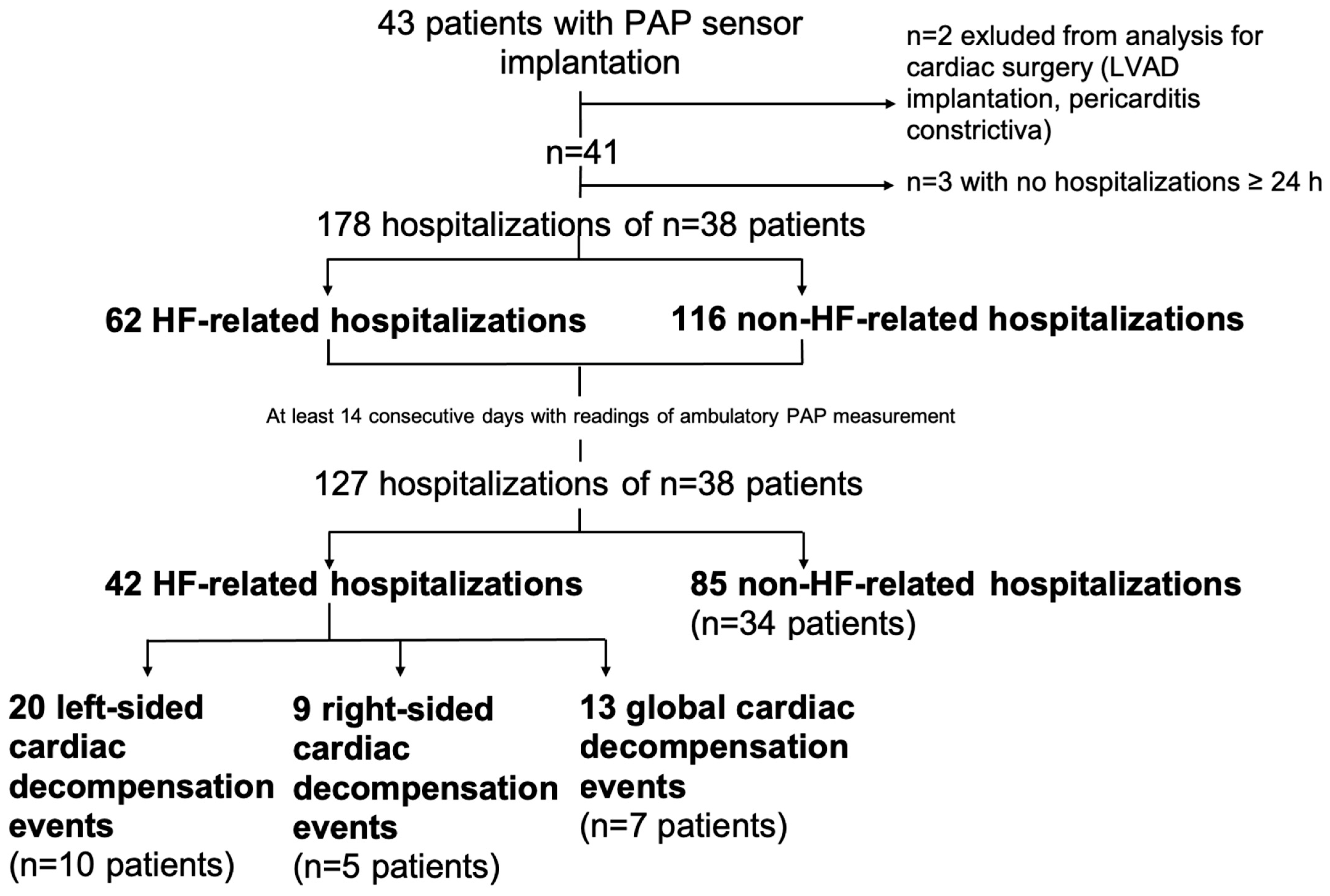 Biomedicines 13 01469 g001