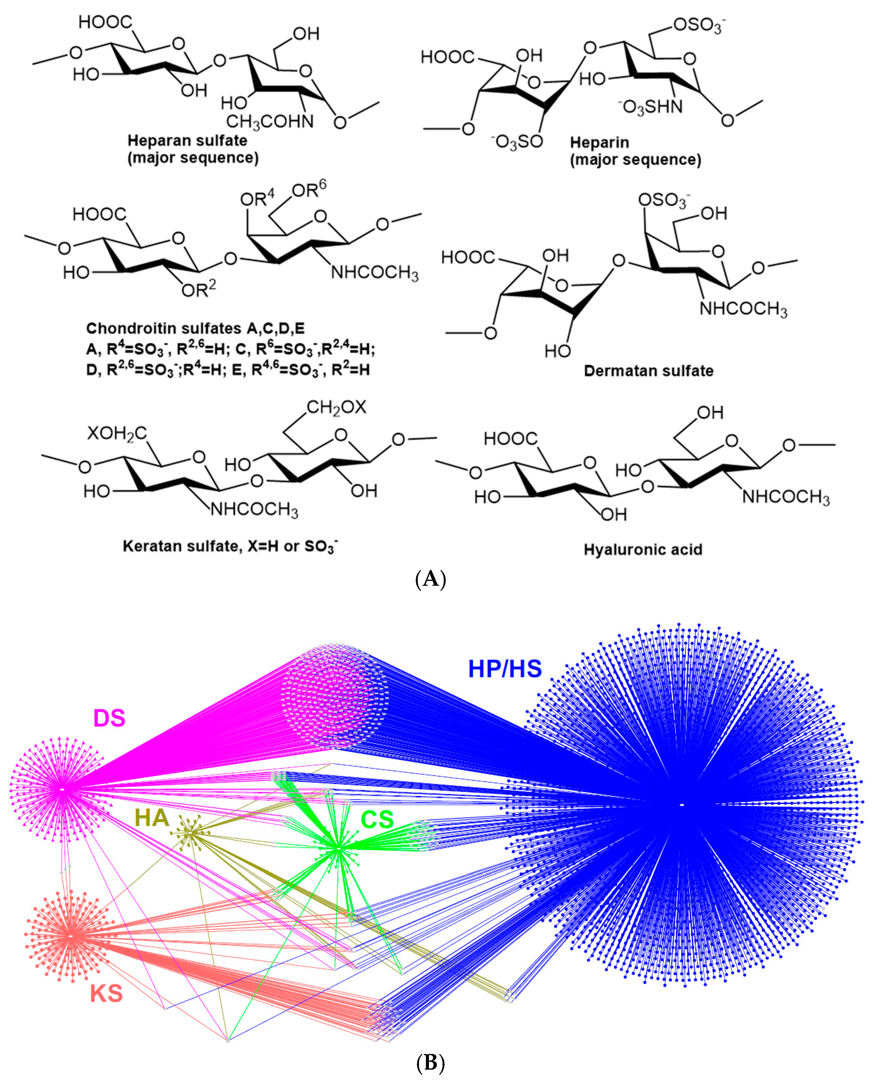 Biomedicines 13 01471 g001