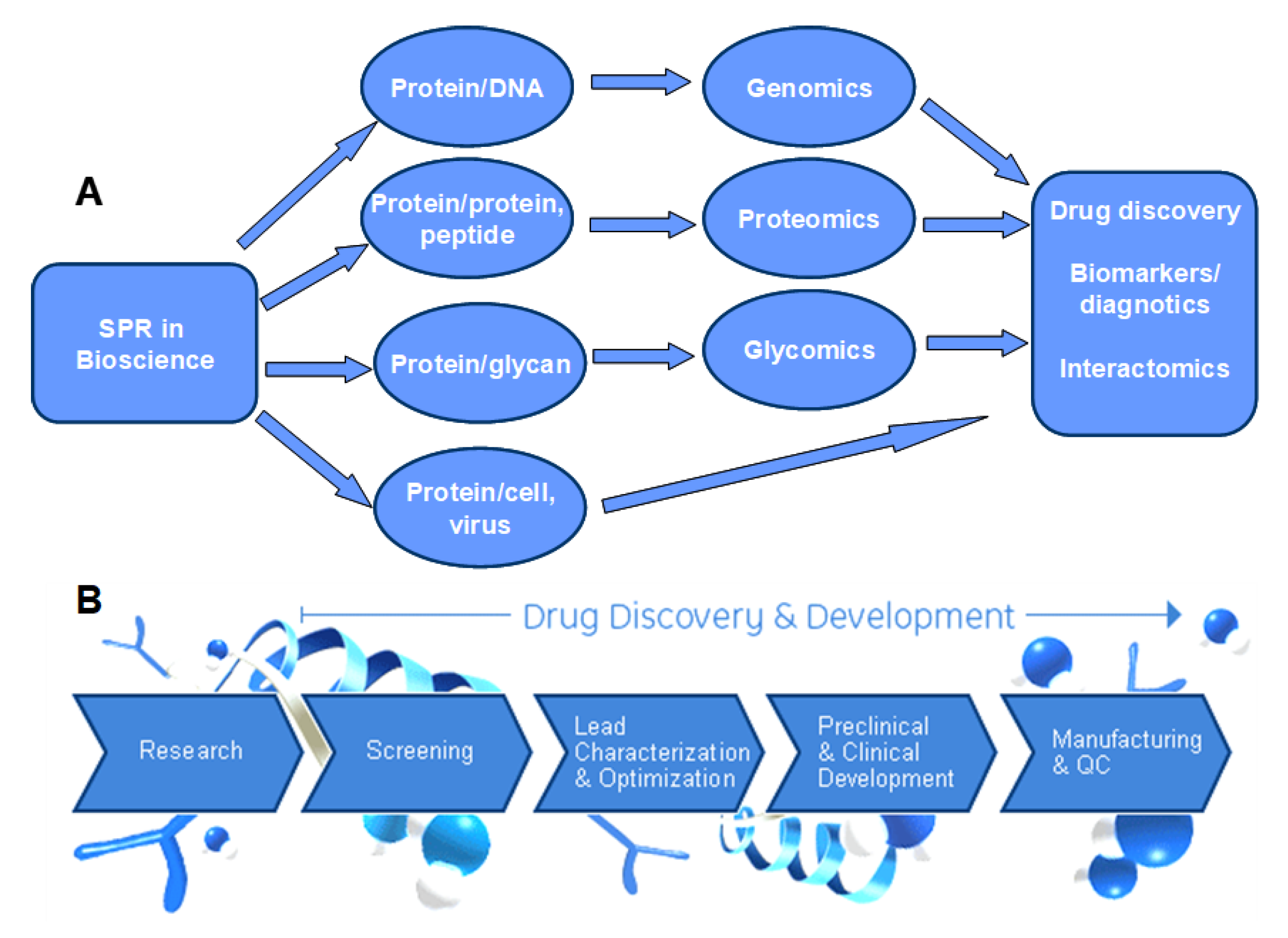 Biomedicines 13 01471 g002