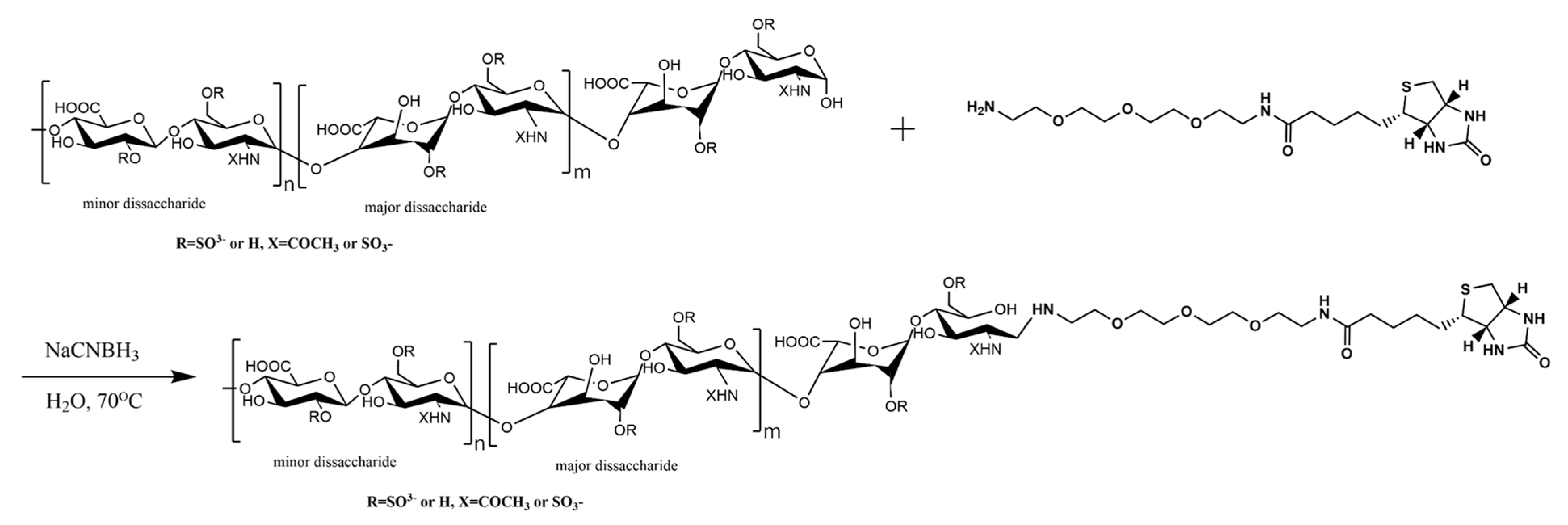 Biomedicines 13 01471 g003