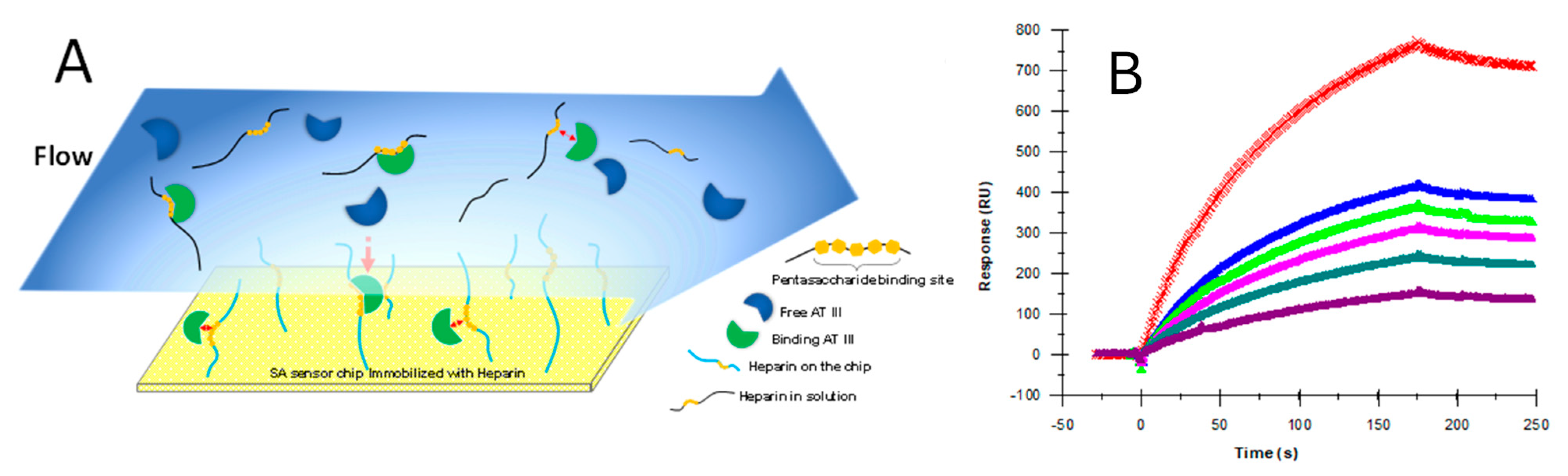 Biomedicines 13 01471 g005
