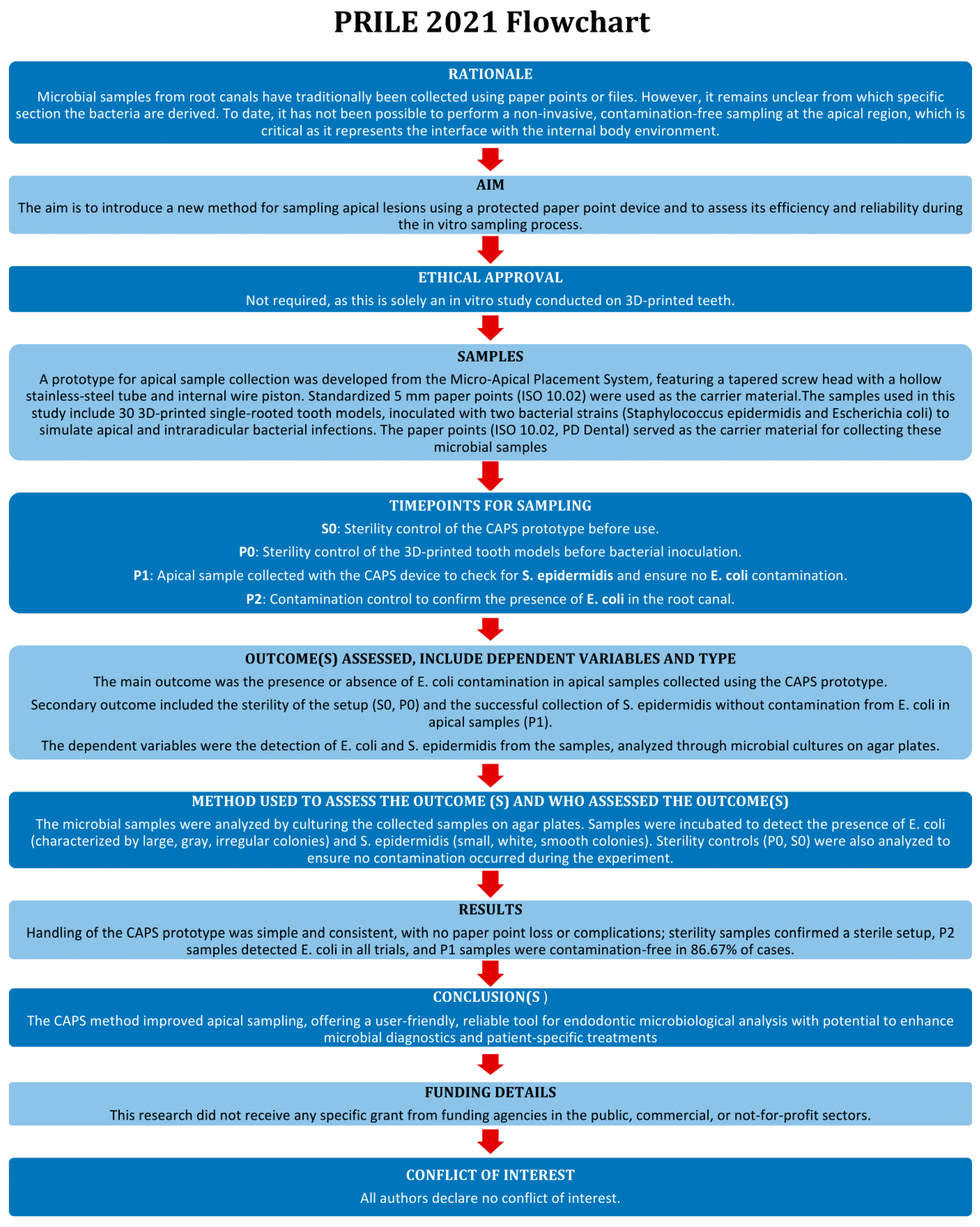Biomedicines 13 01477 g001