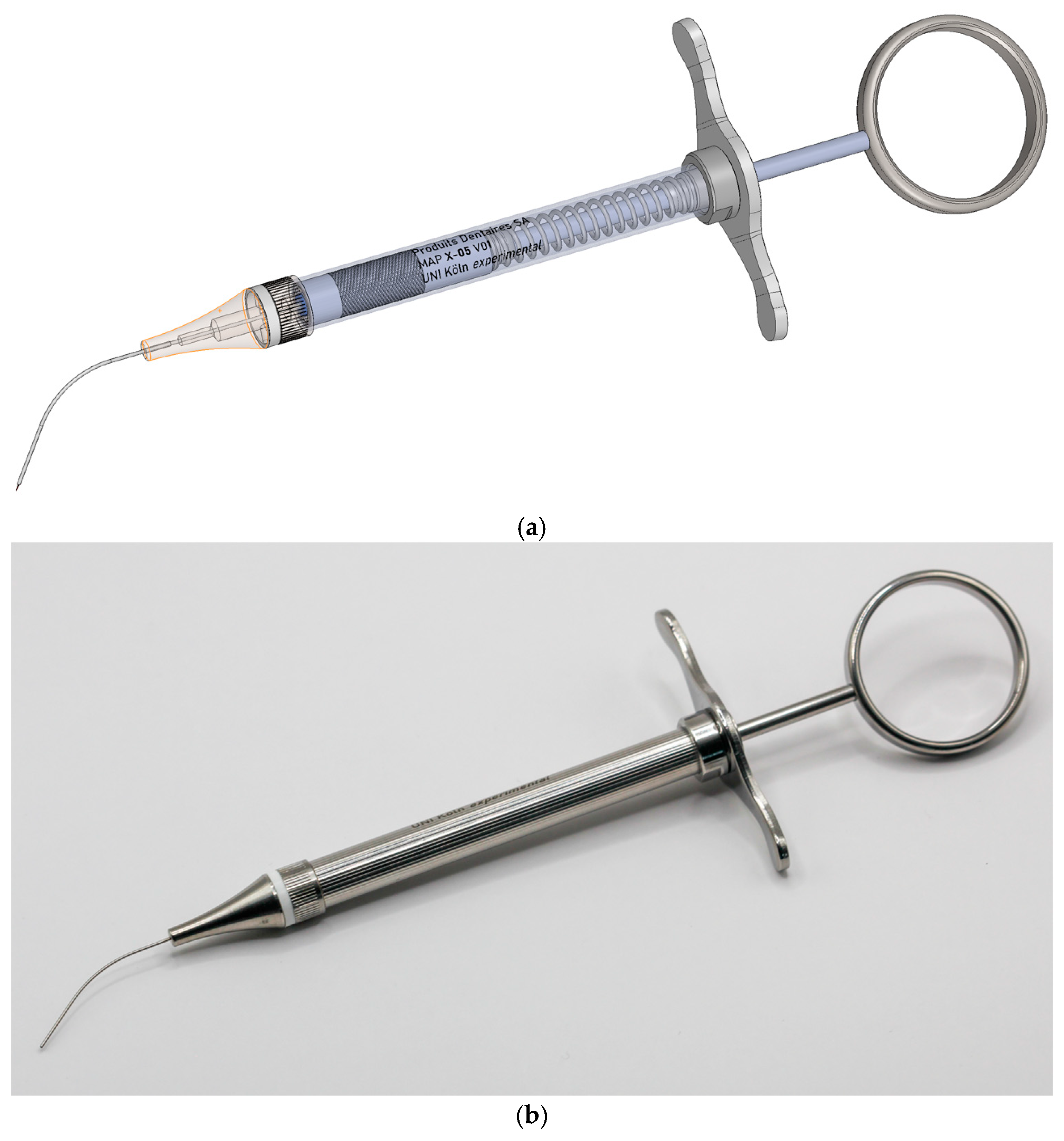 Biomedicines 13 01477 g002