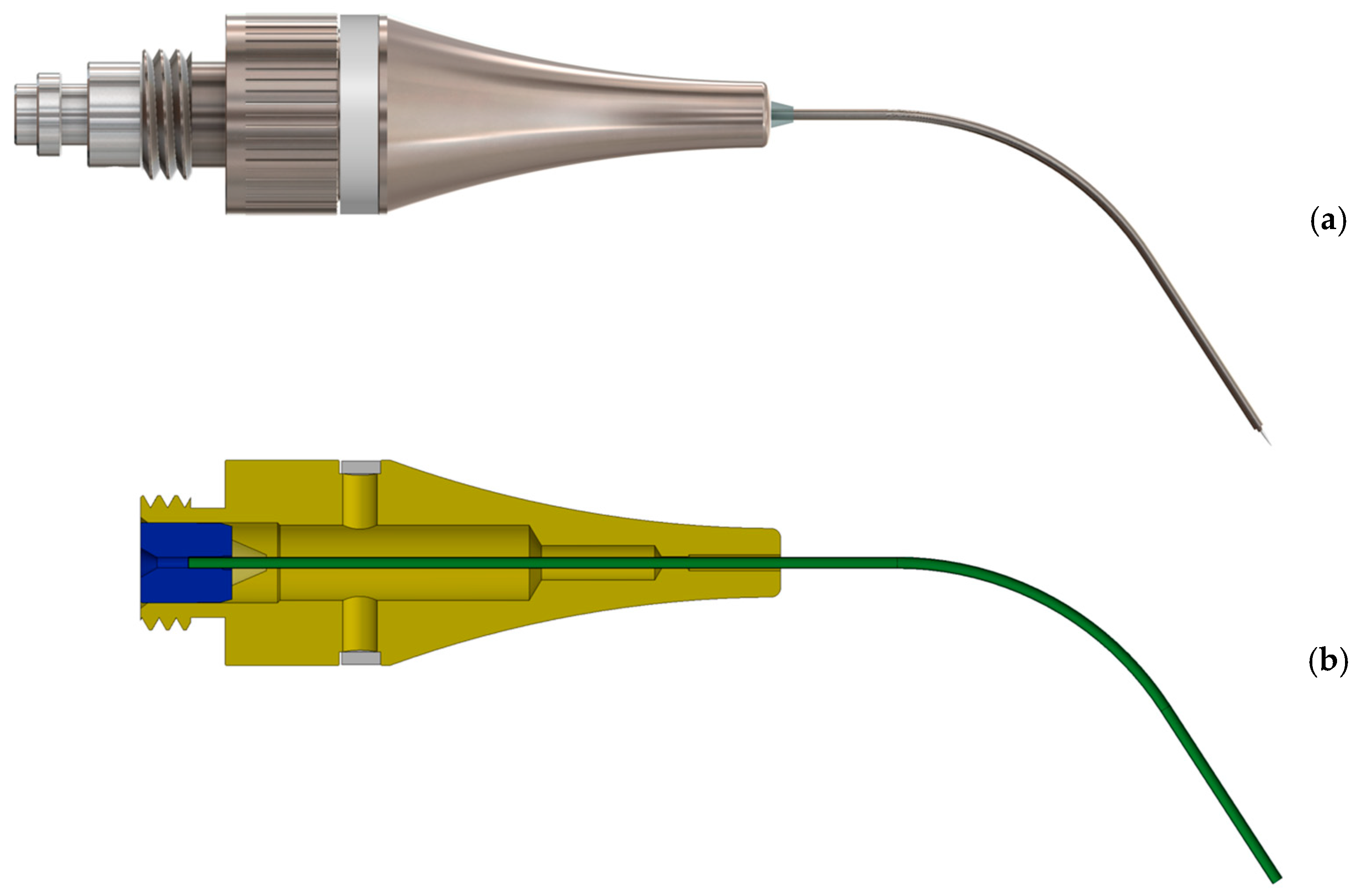 Biomedicines 13 01477 g003