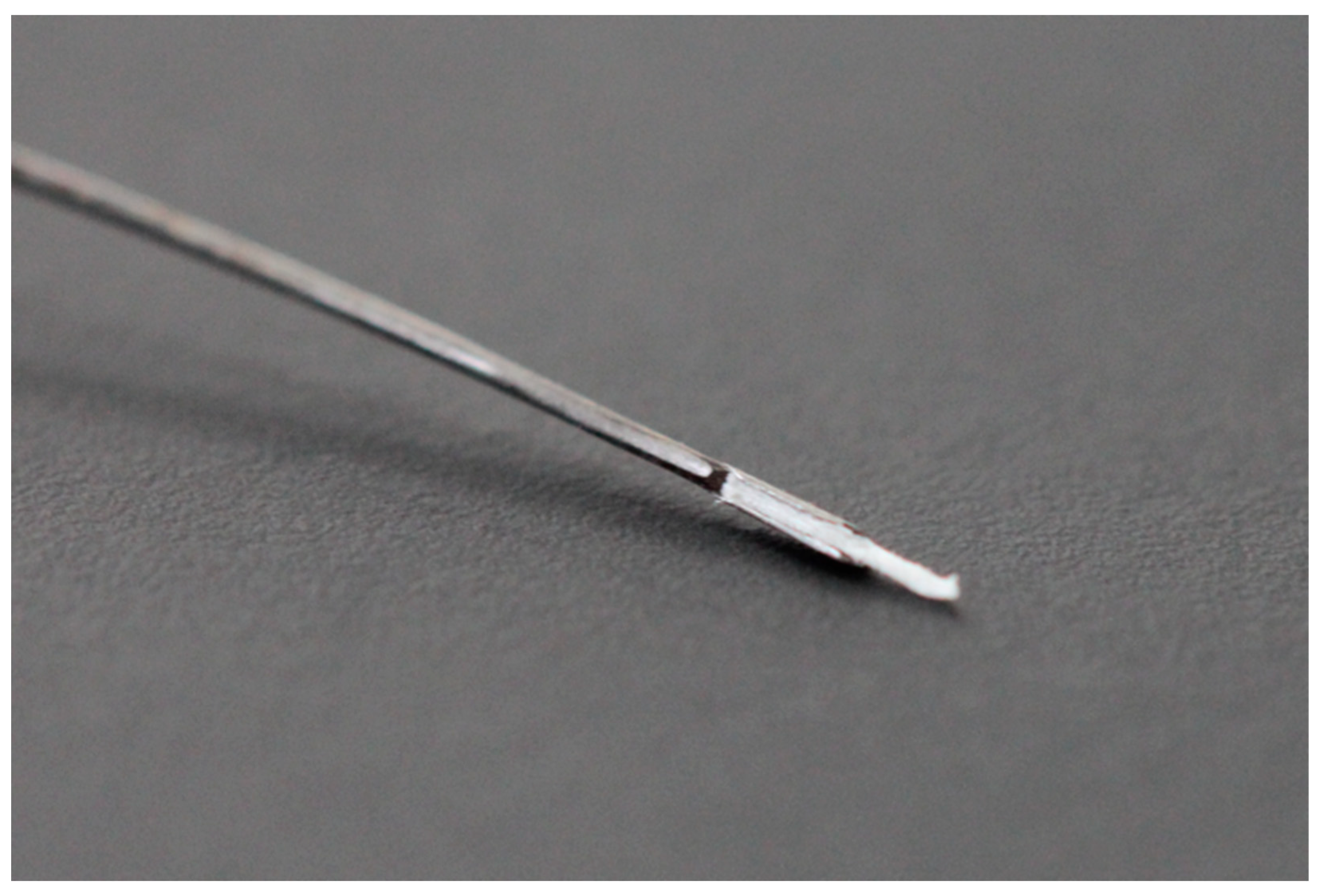 Biomedicines 13 01477 g007