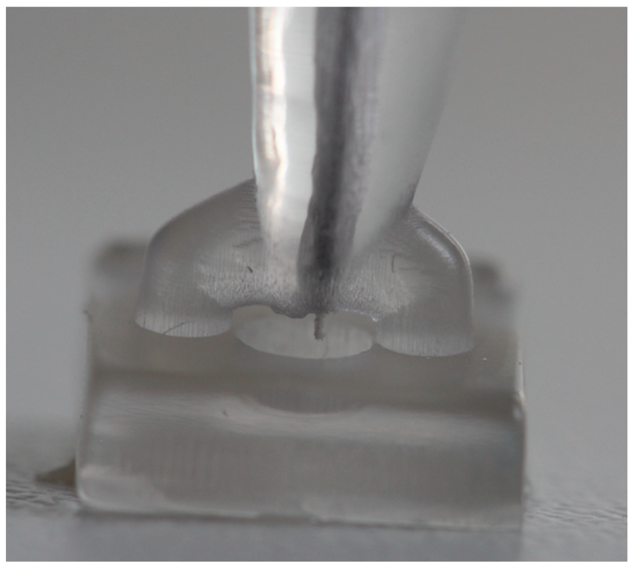 Biomedicines 13 01477 g009