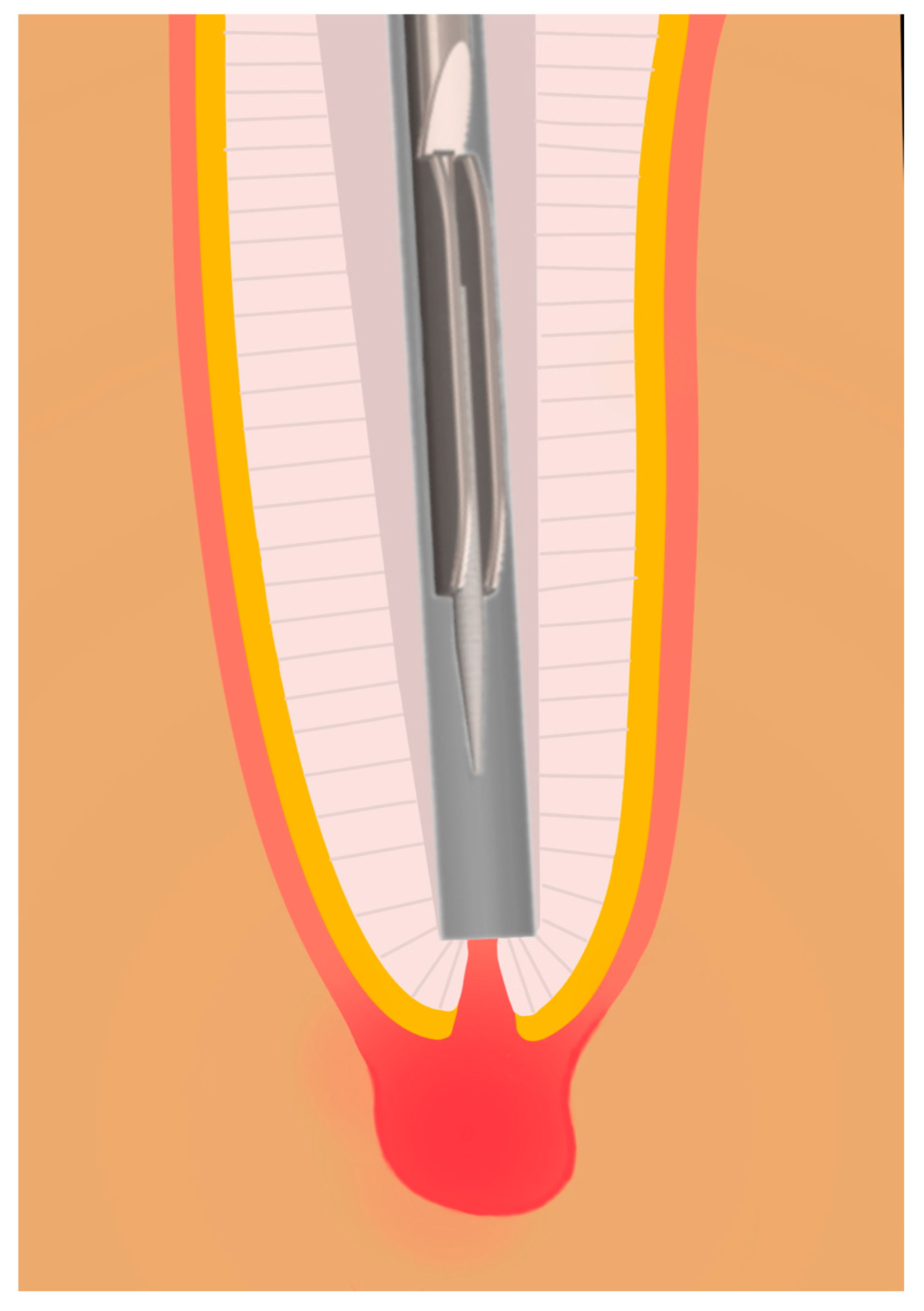 Biomedicines 13 01477 g011