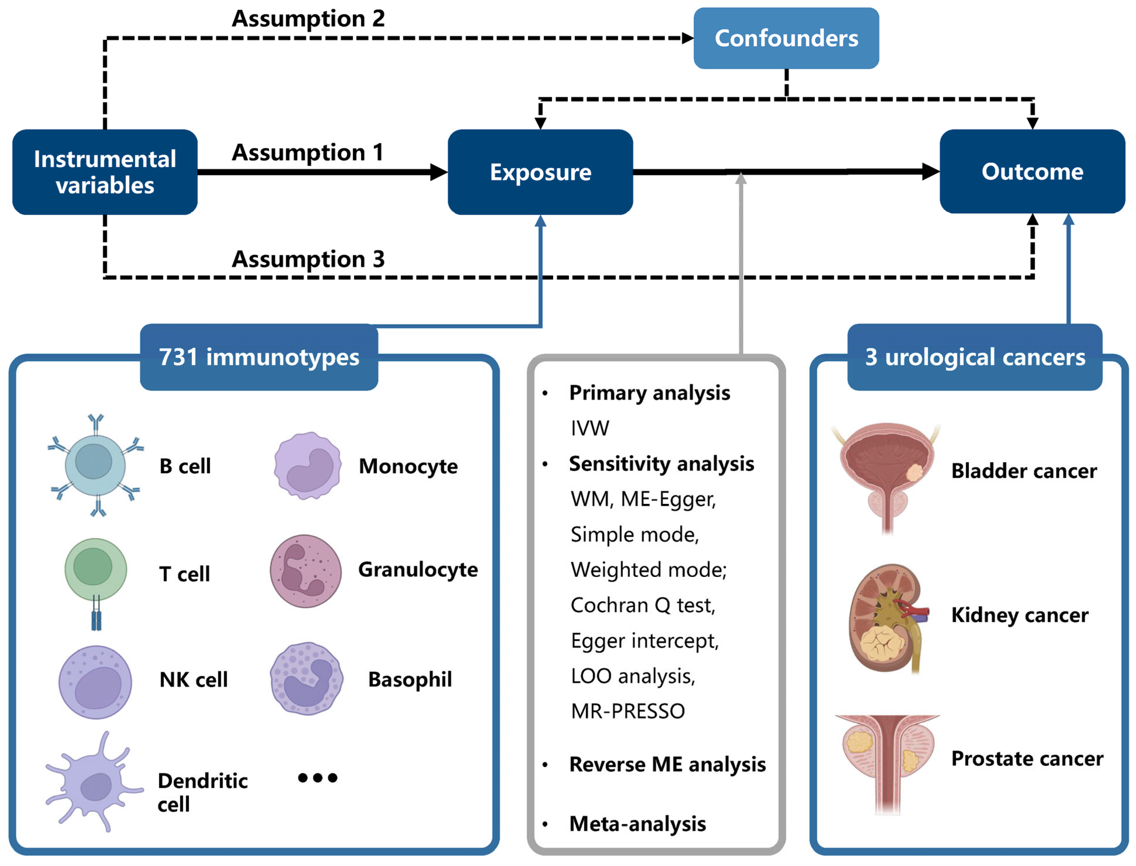 Biomedicines 13 01480 g001