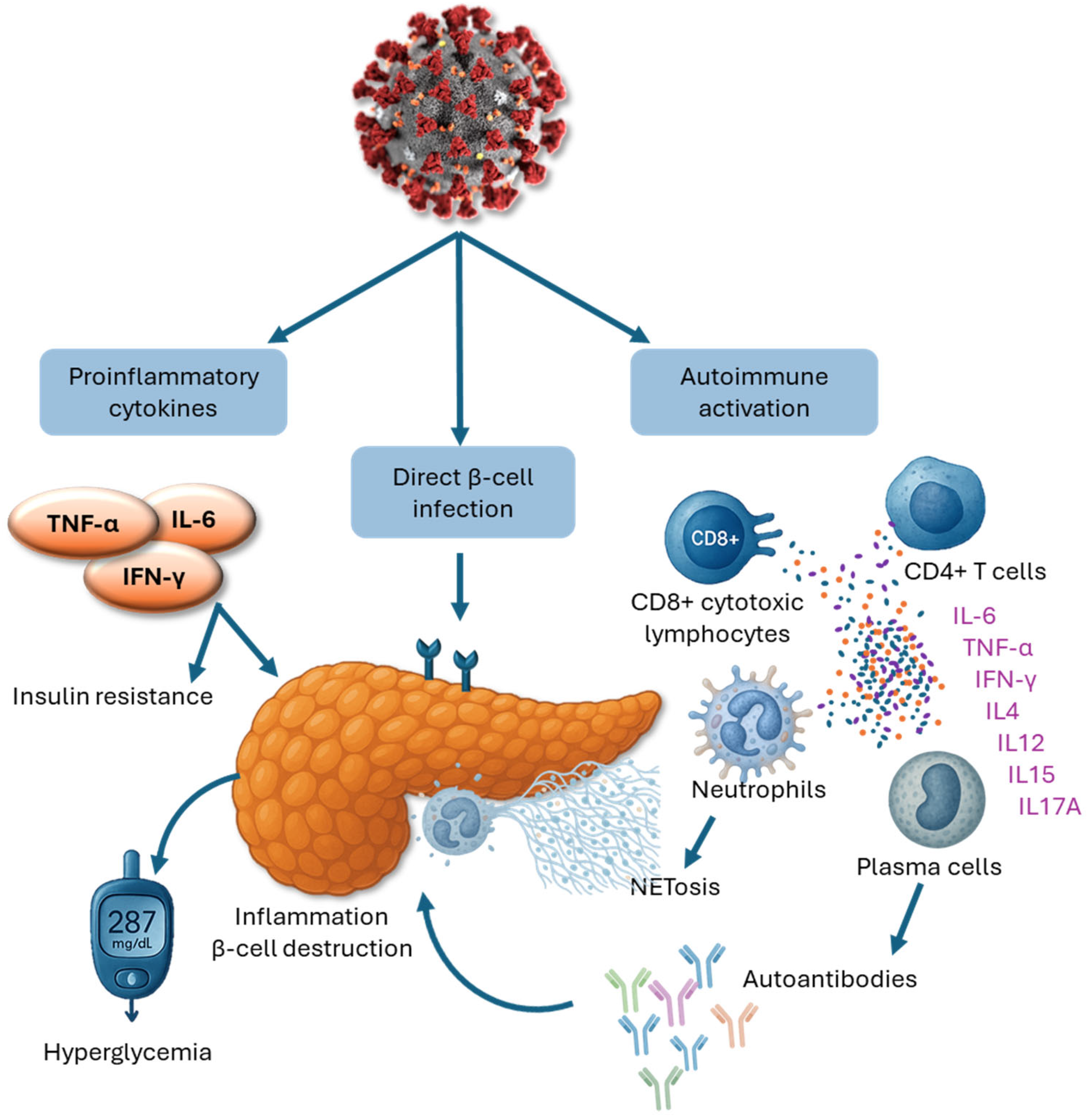 Biomedicines 13 01482 g003