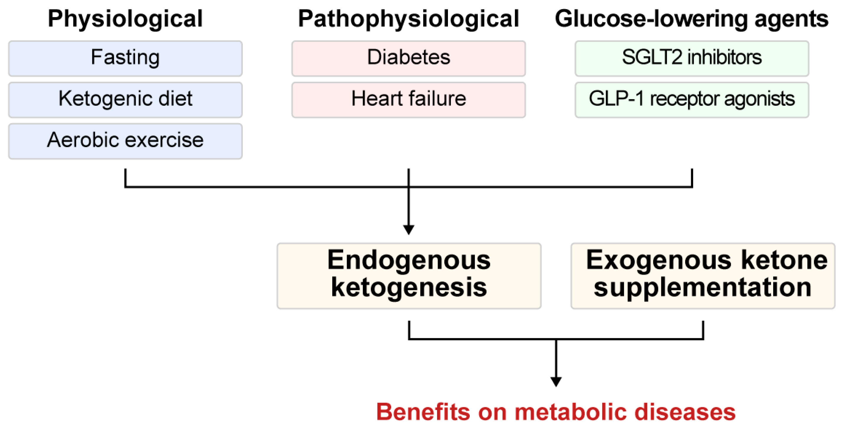 Biomedicines 13 01484 g001