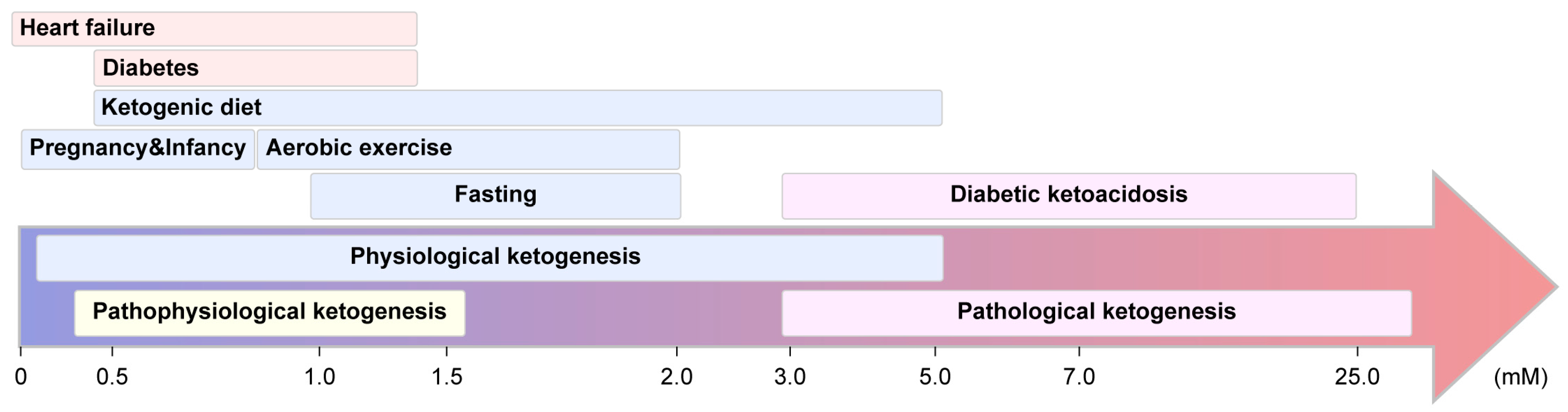 Biomedicines 13 01484 g002