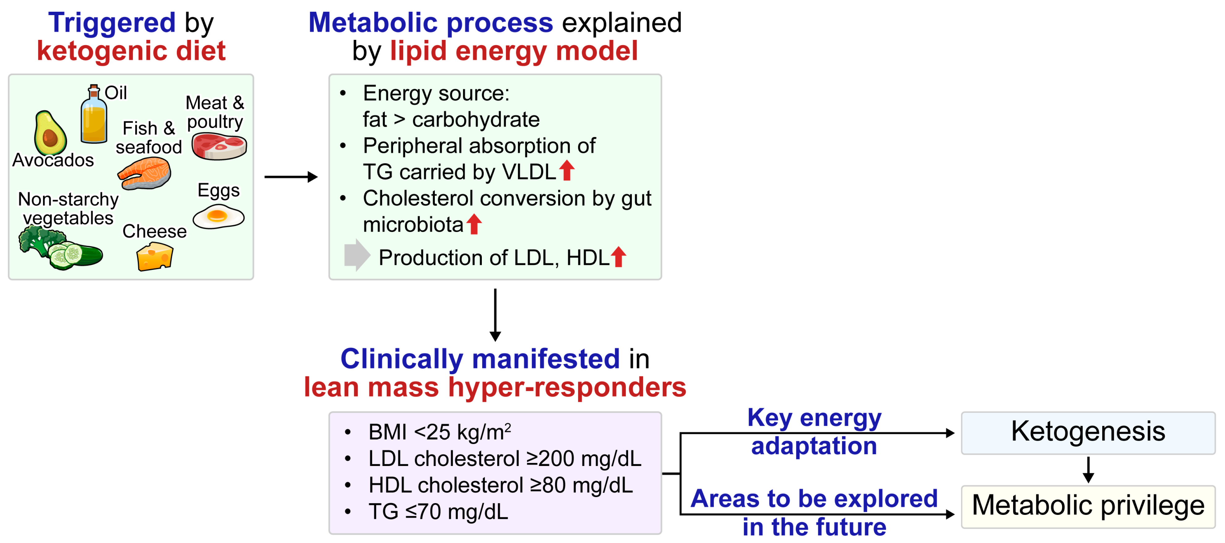Biomedicines 13 01484 g003