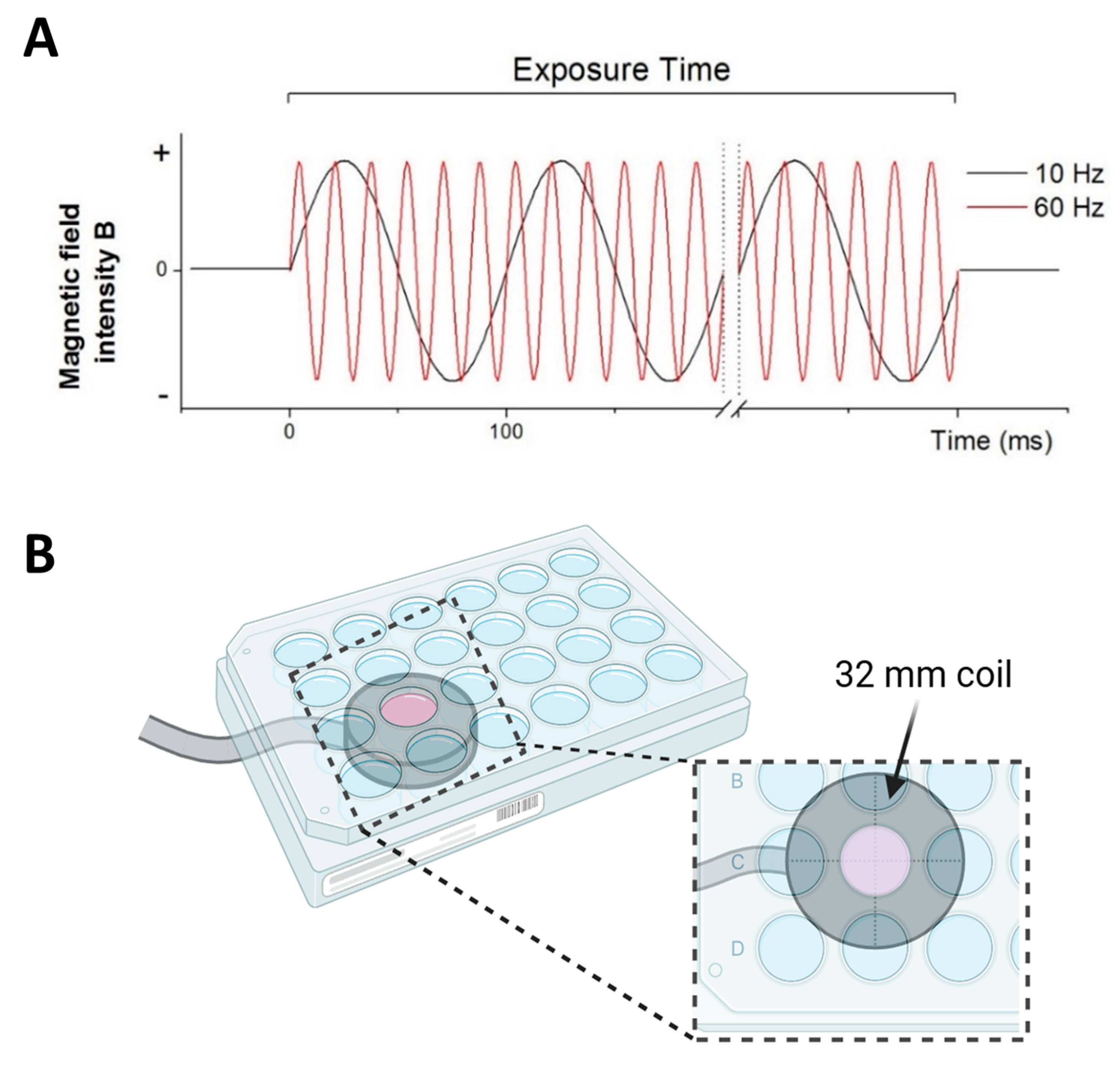 Biomedicines 13 01490 g001