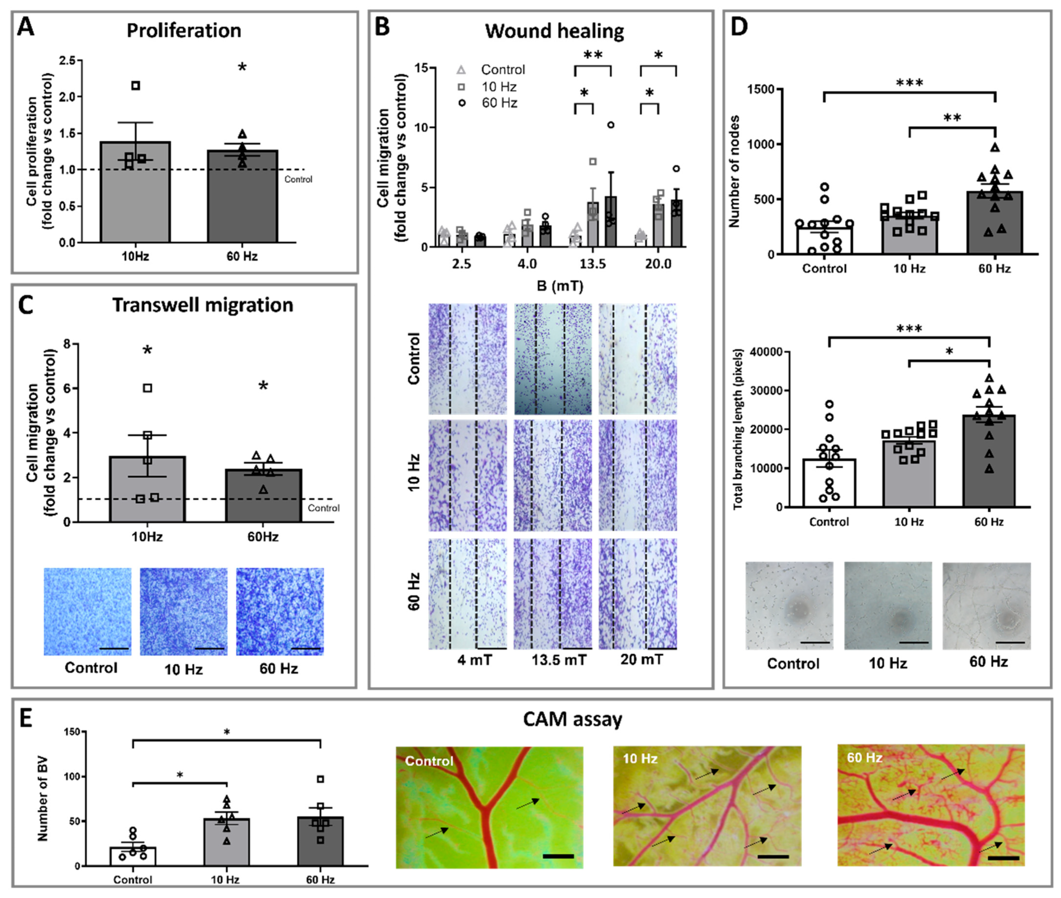 Biomedicines 13 01490 g002