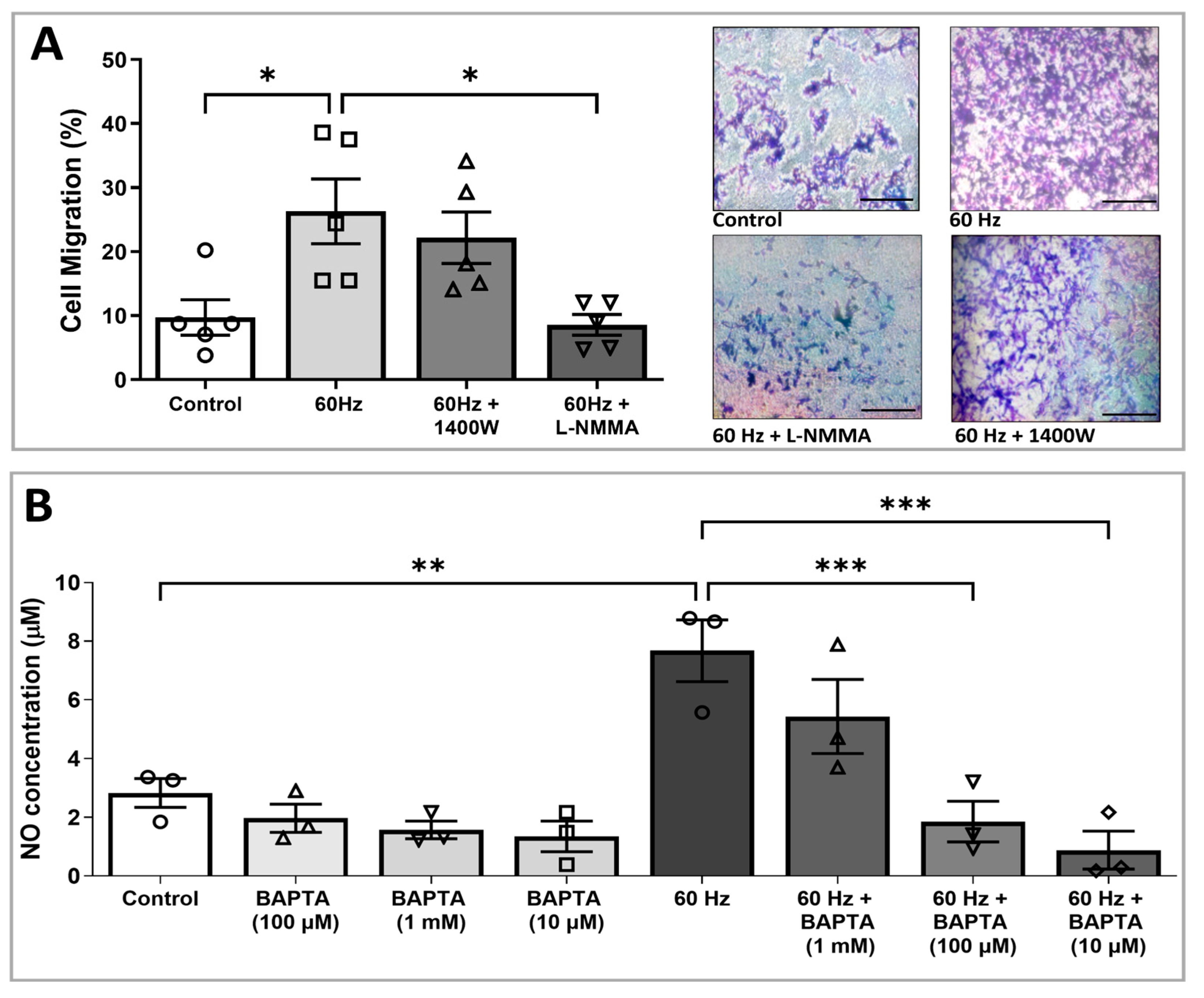 Biomedicines 13 01490 g003