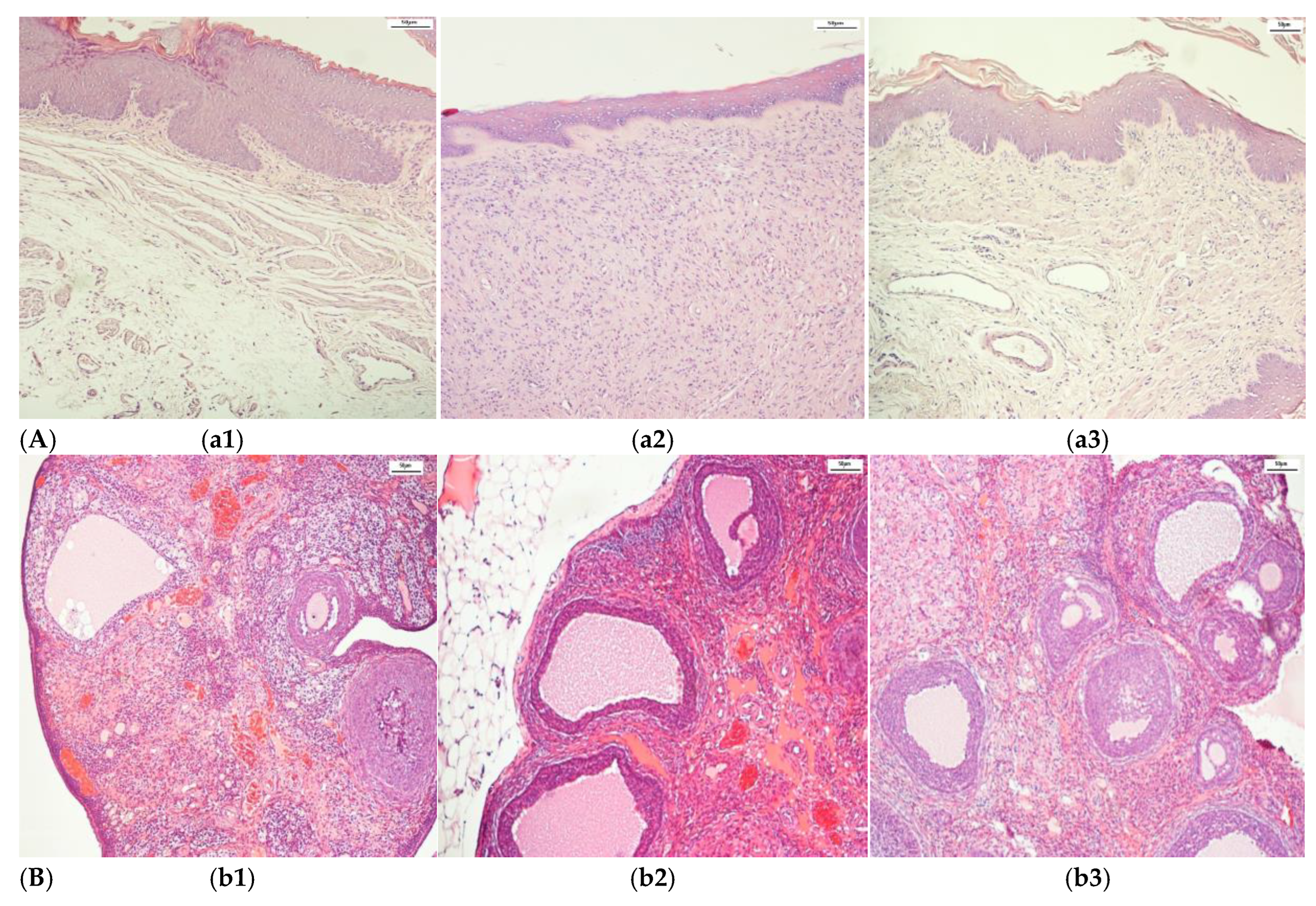 Biomedicines 13 01494 g002a