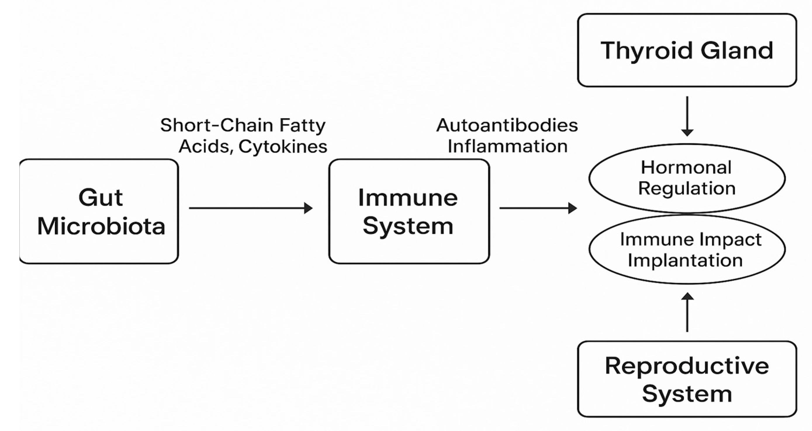 Biomedicines 13 01495 g002