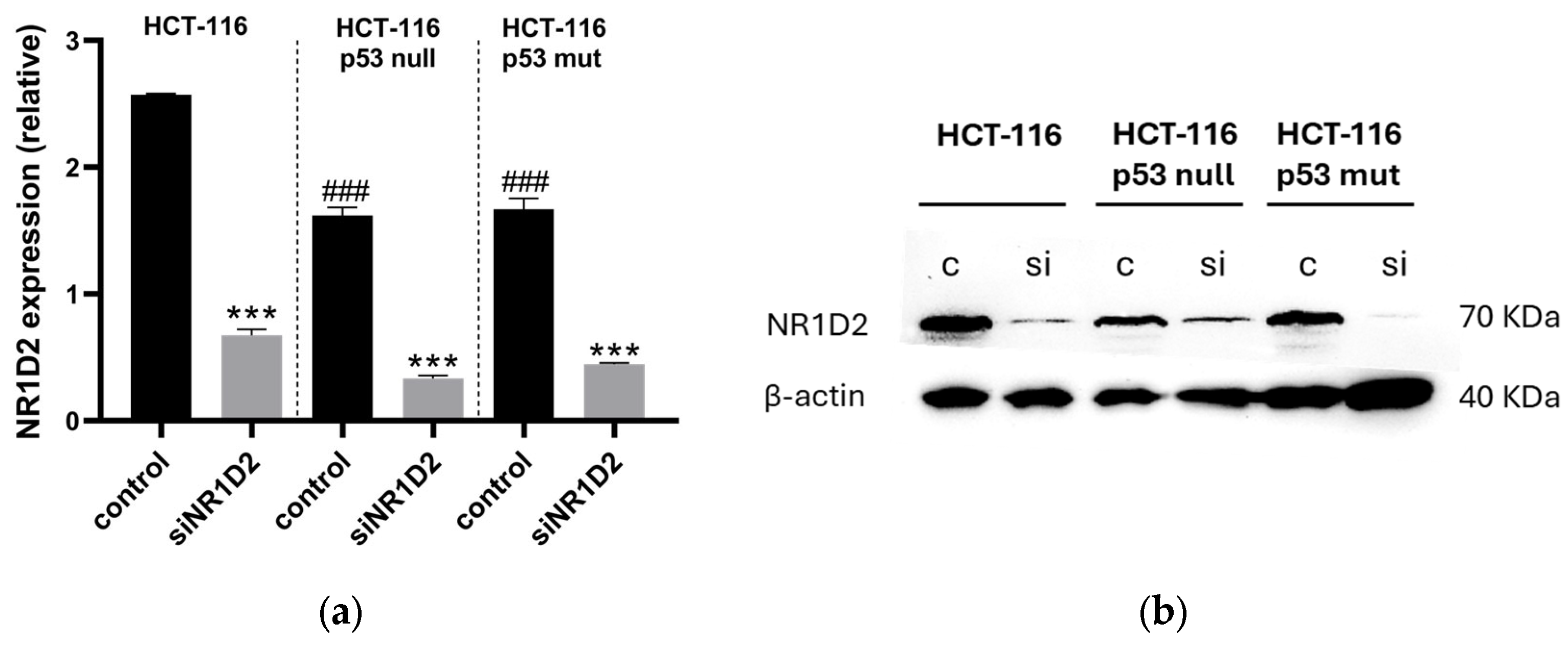 Biomedicines 13 01500 g001