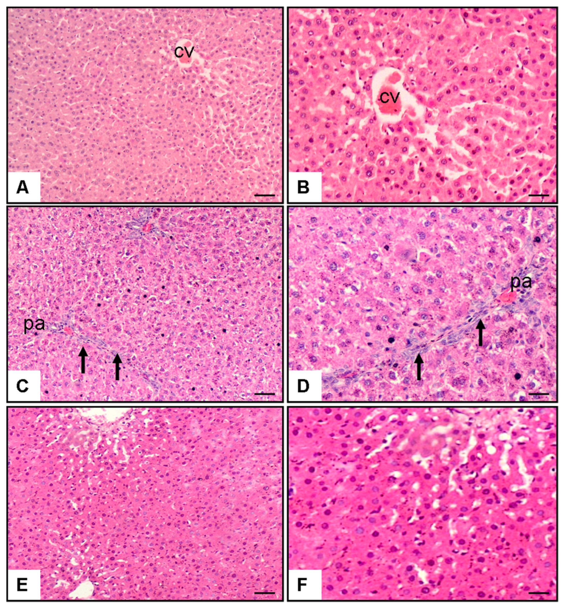 Biomedicines 13 01502 g001