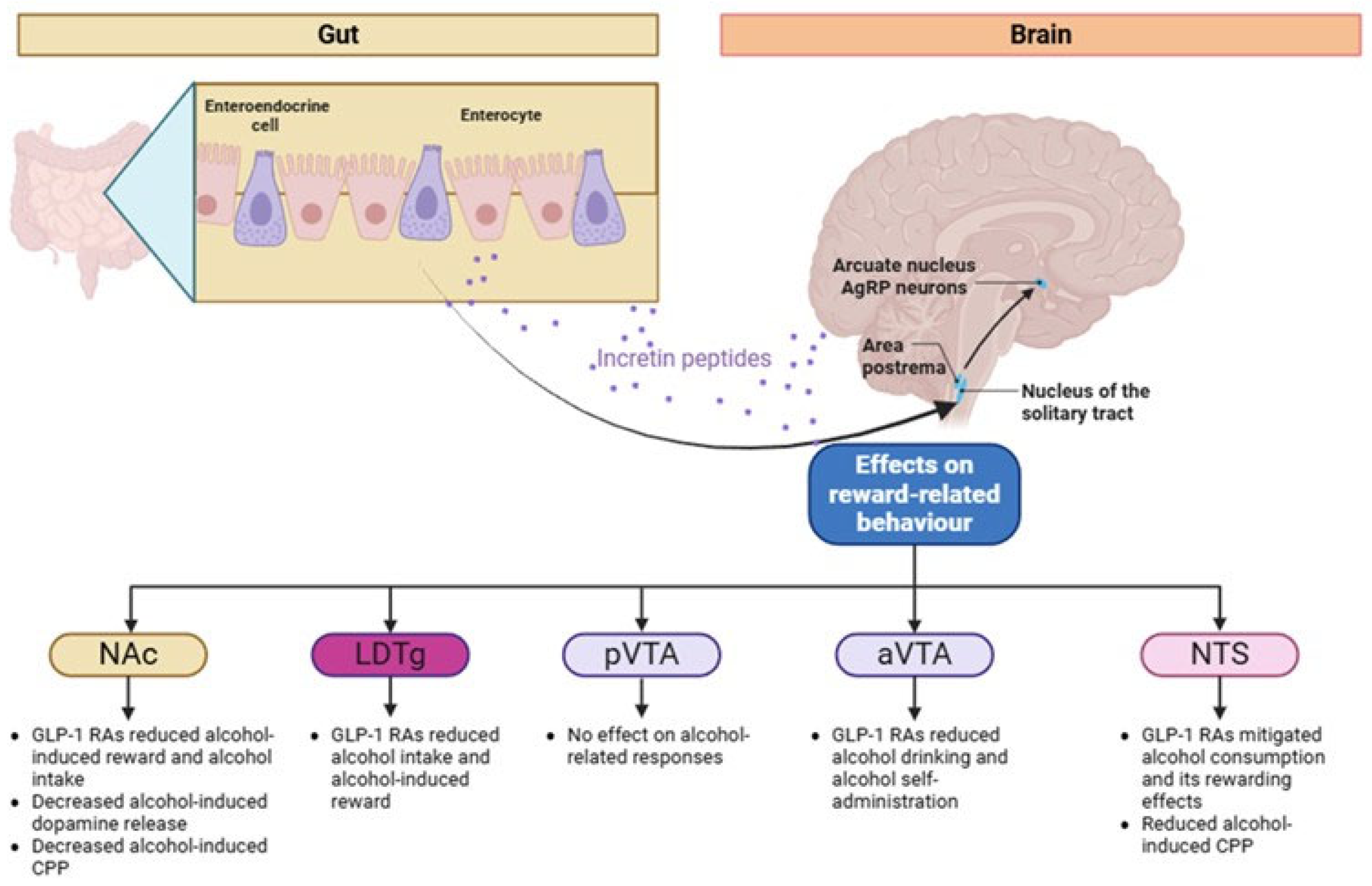 Biomedicines 13 01516 g002
