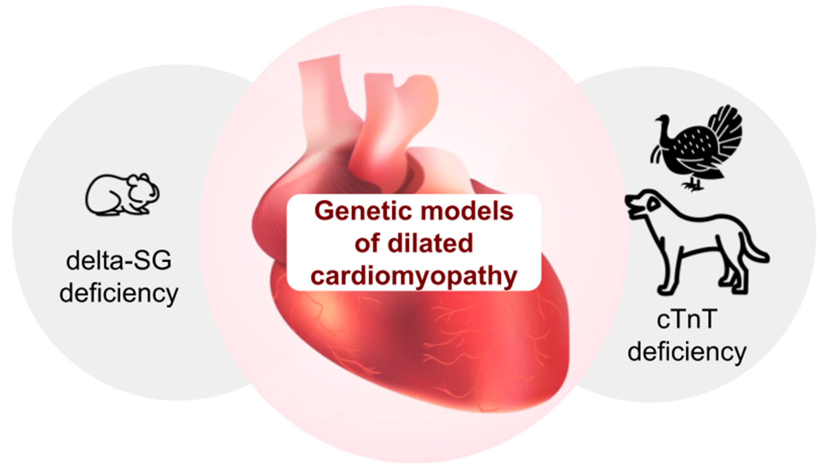 Biomedicines 13 01518 g001