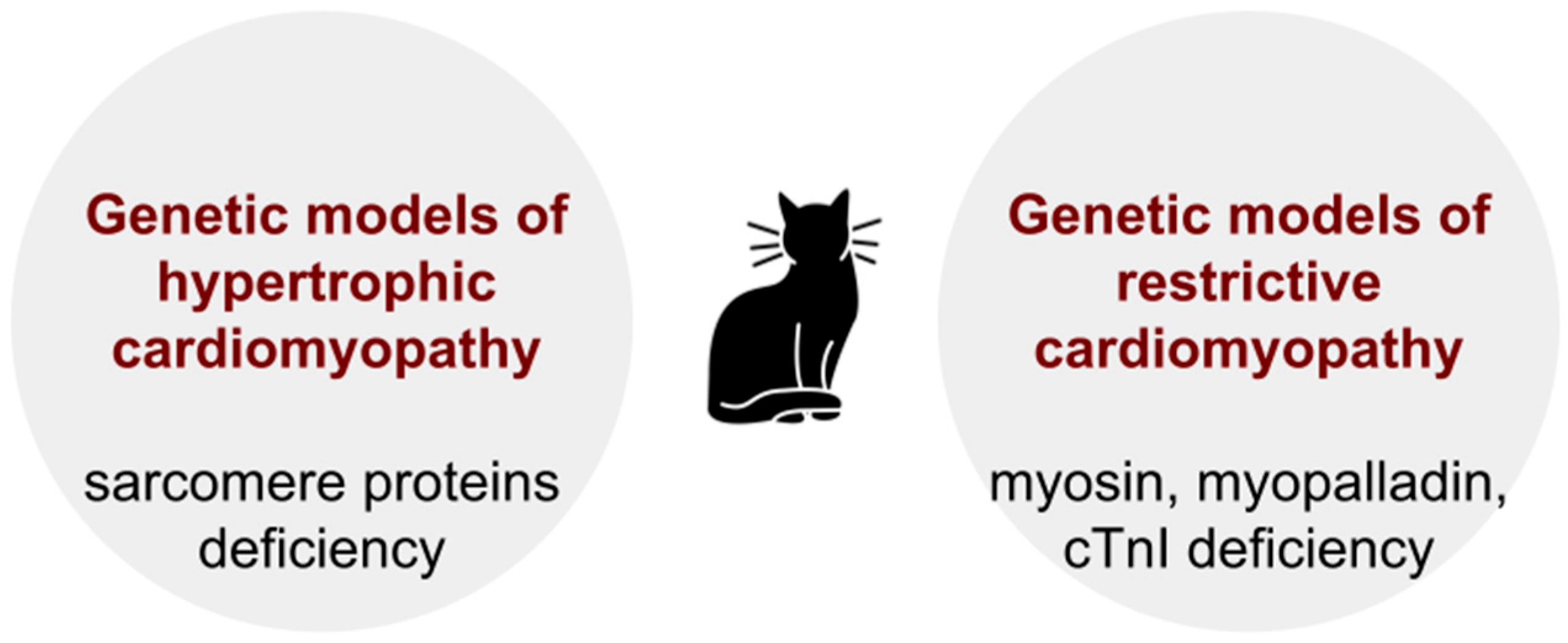 Biomedicines 13 01518 g002