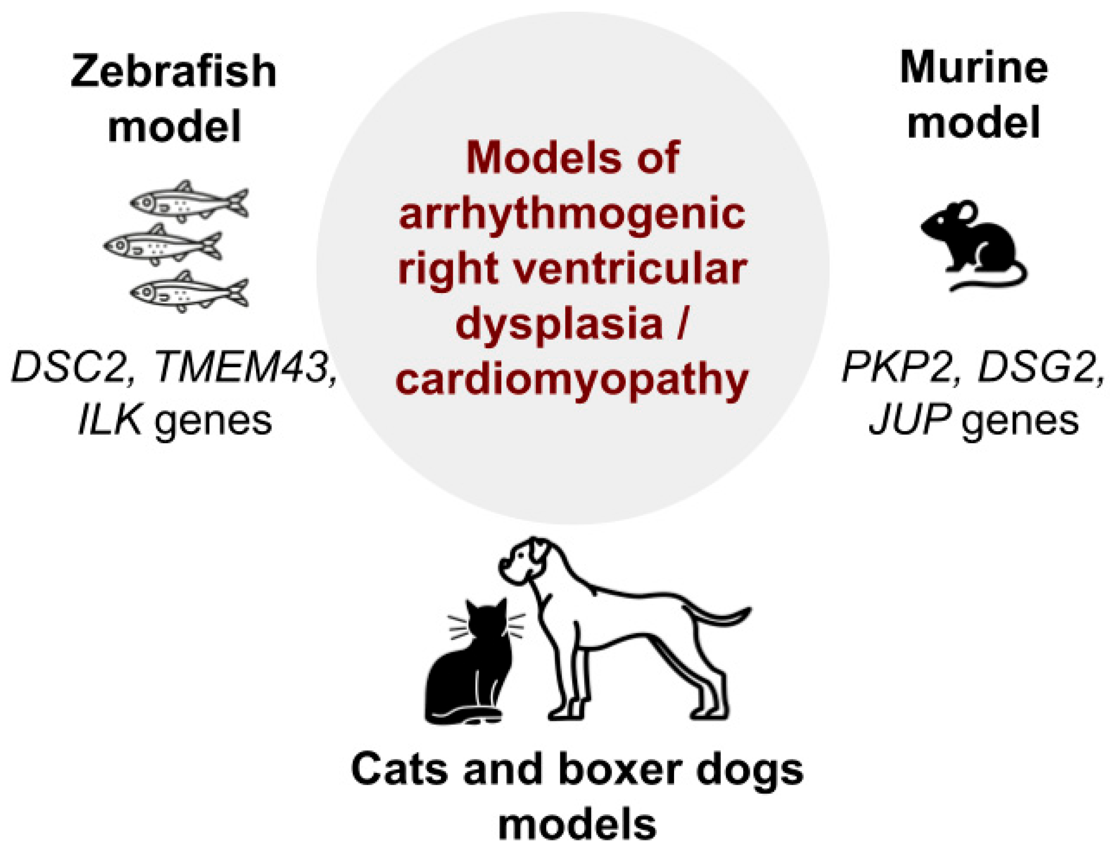 Biomedicines 13 01518 g003